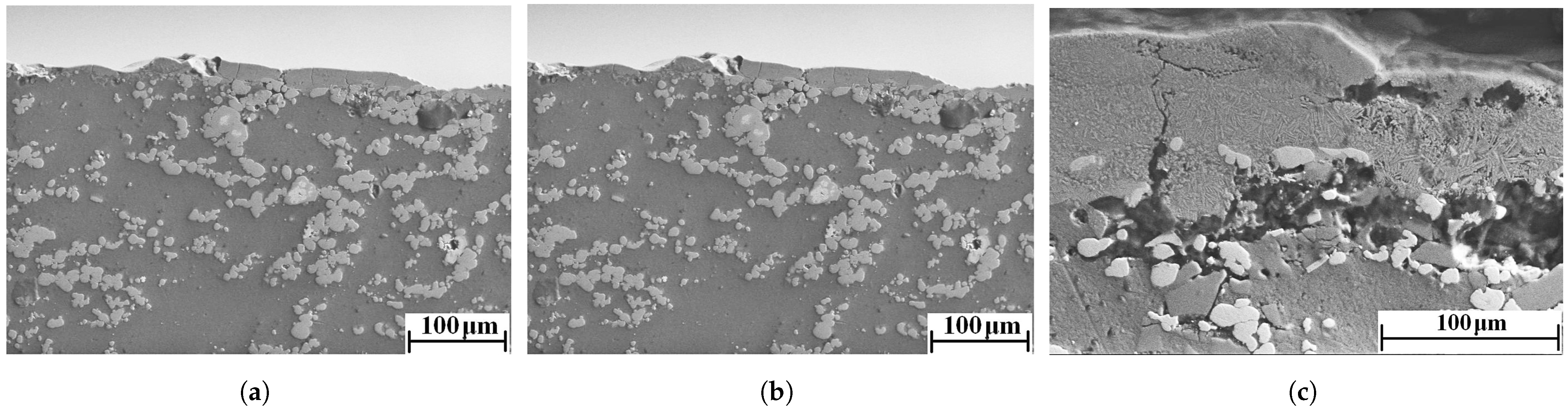 Coatings 12 00958 g004 550