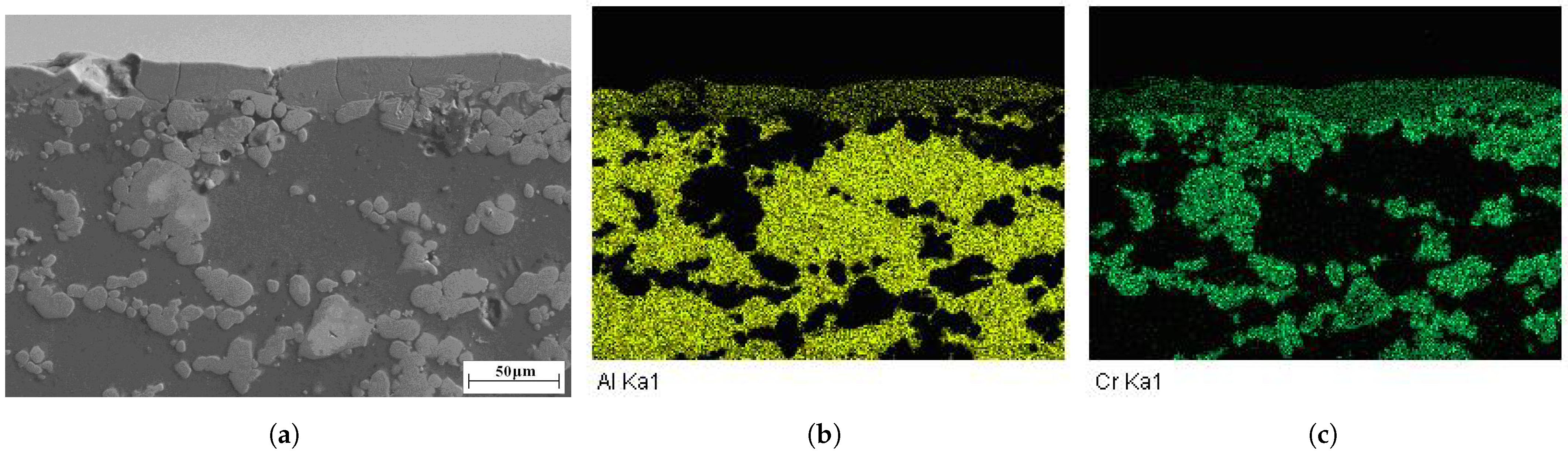 Coatings 12 00958 g006 550