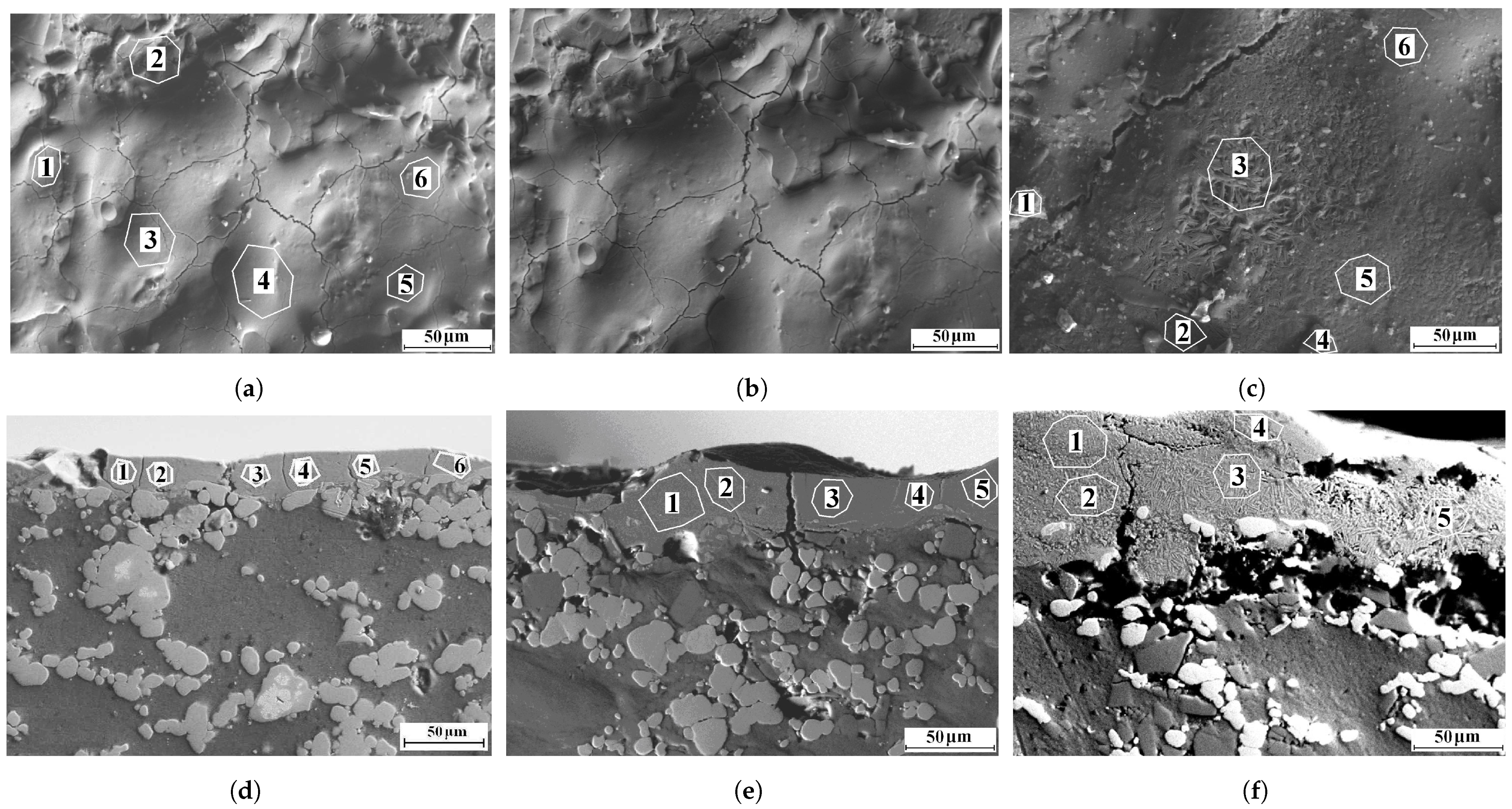Coatings 12 00958 g007 550