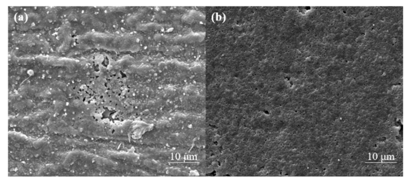 Coatings 12 00959 g004 550