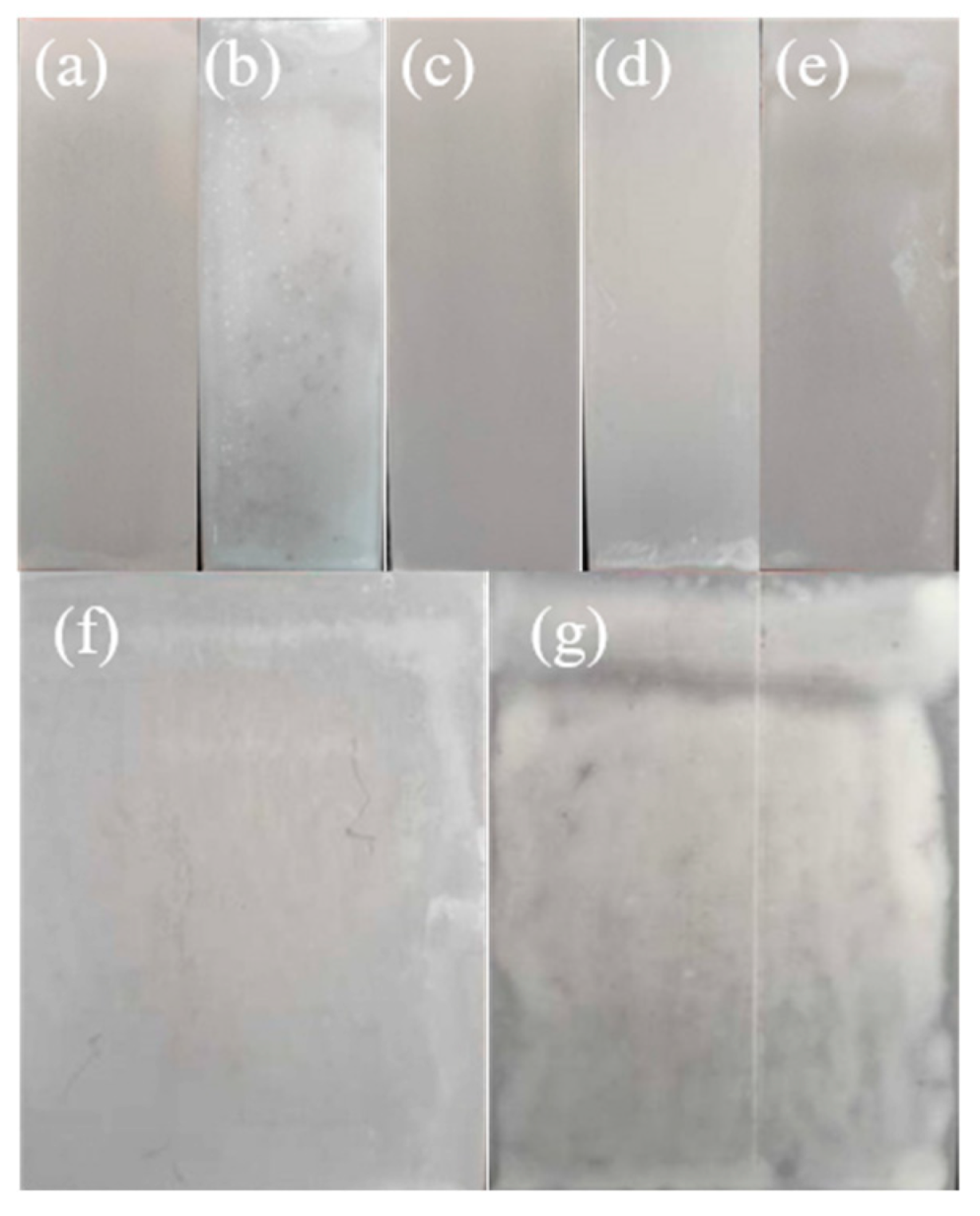 Coatings 12 00959 g009 550