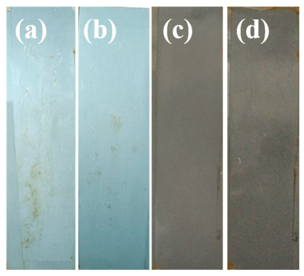 Coatings 12 00959 g010 550