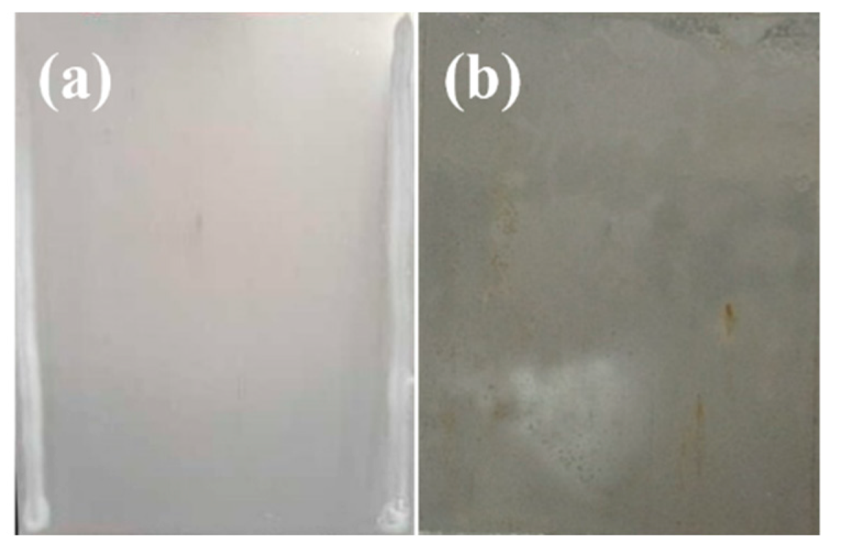 Coatings 12 00959 g012 550