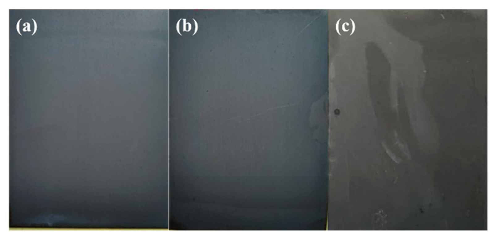 Coatings 12 00959 g014 550