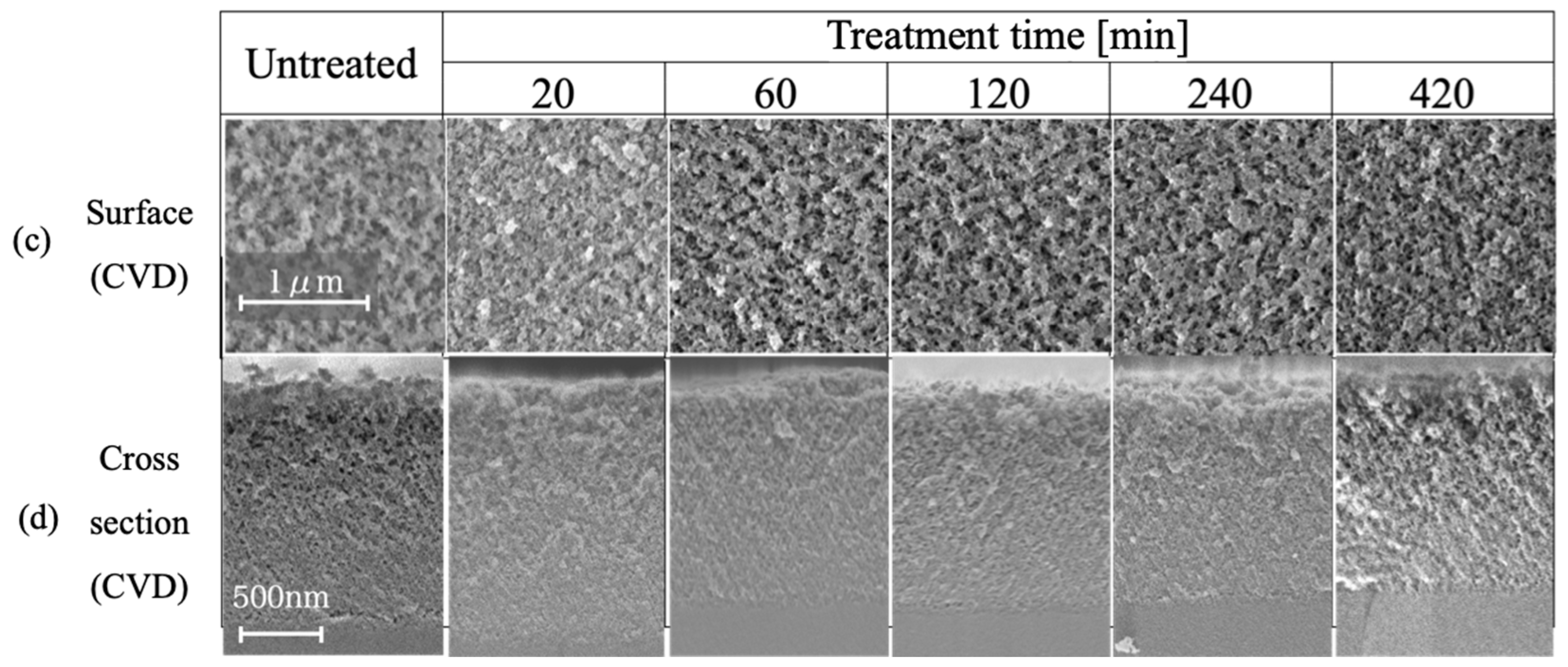 Coatings 12 00961 g006b 550