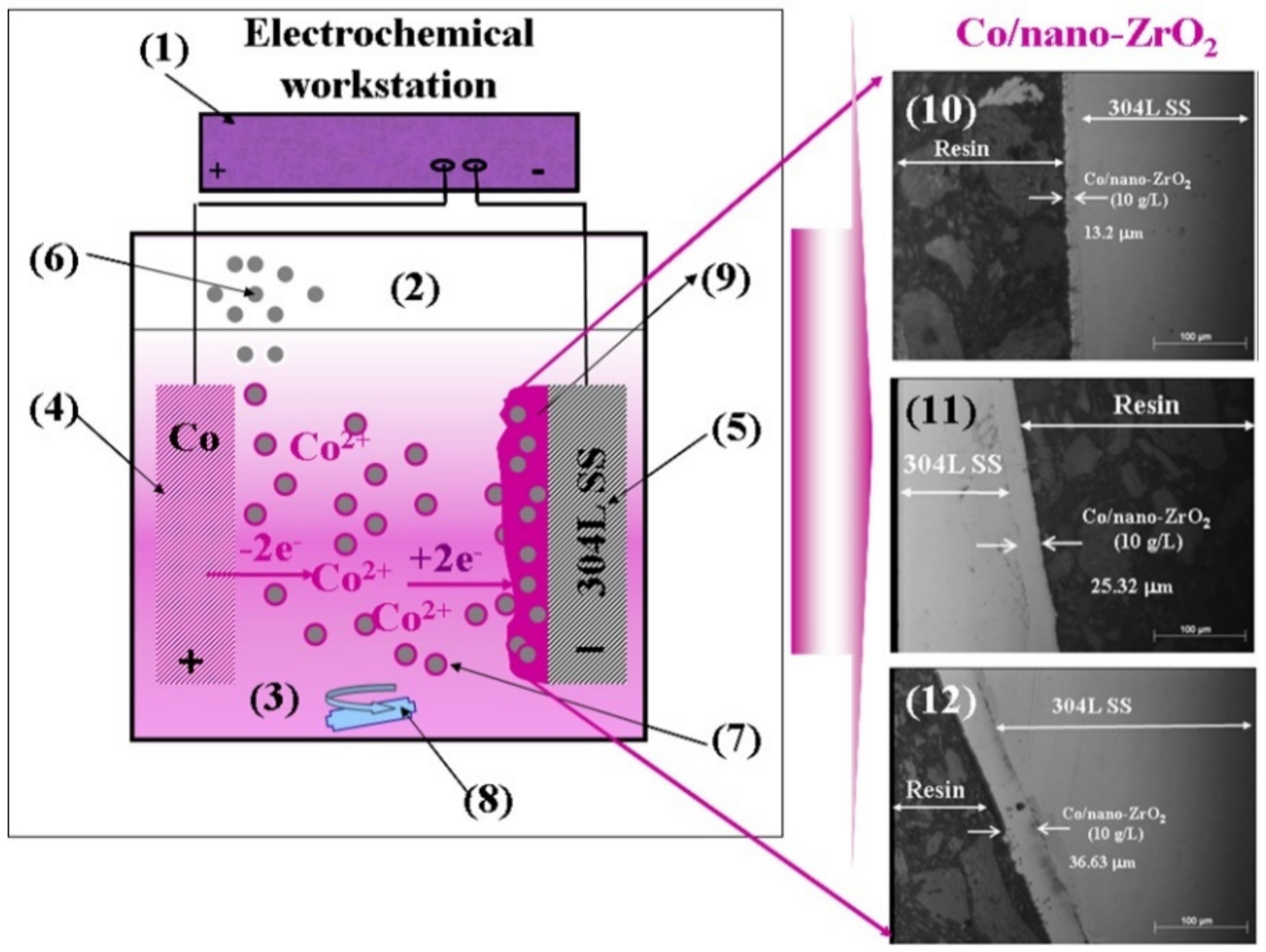 Coatings 12 00962 g002