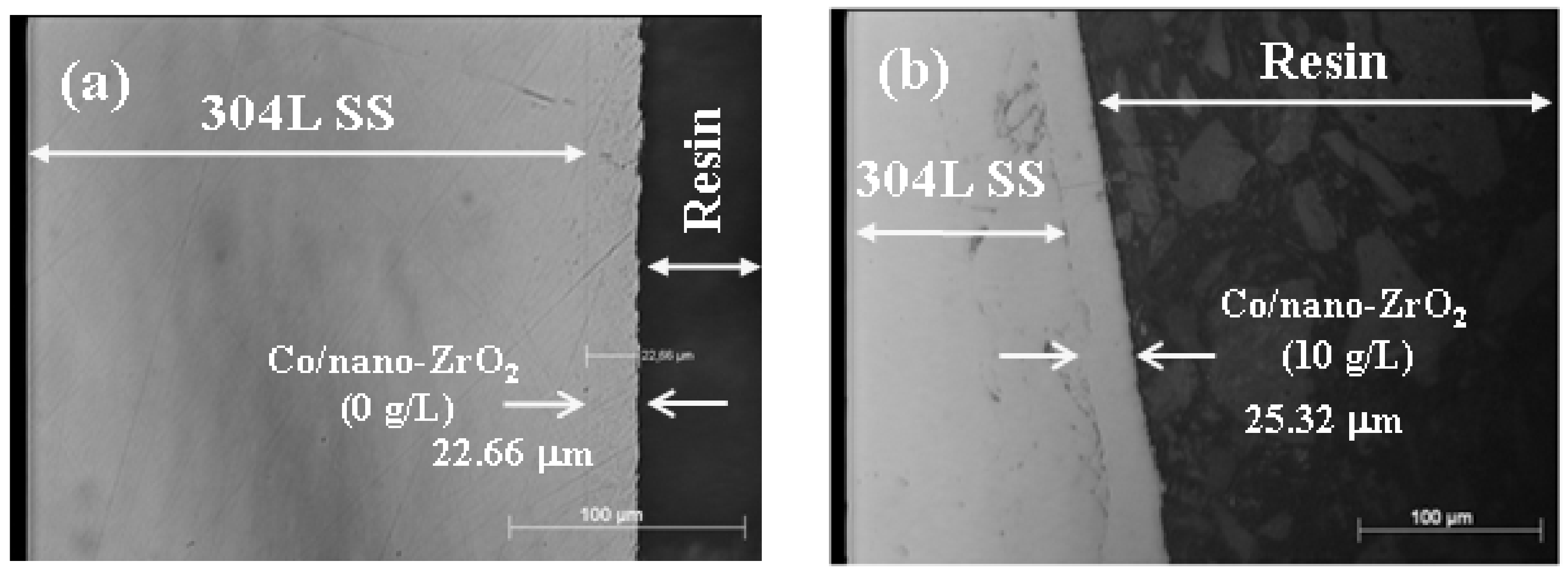 Coatings 12 00962 g004