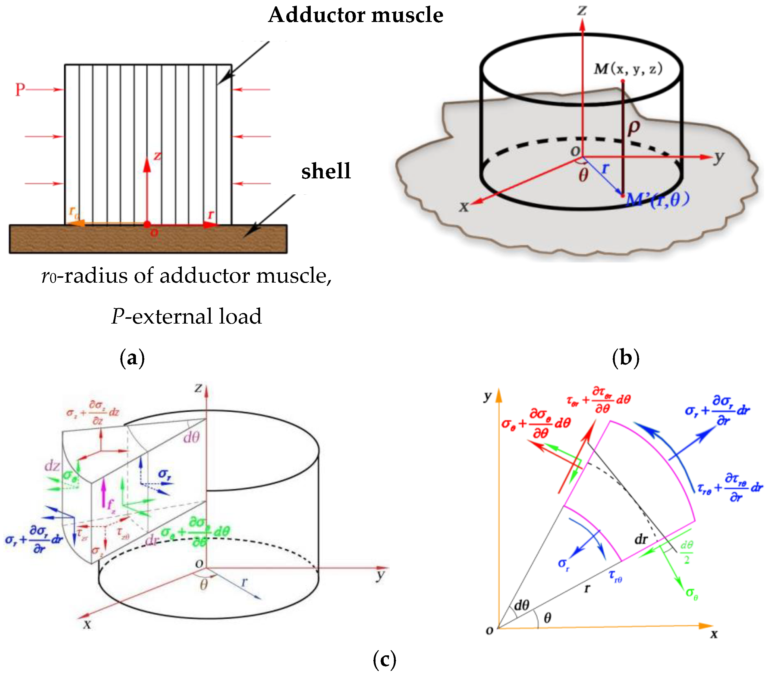 Coatings 12 00963 g001