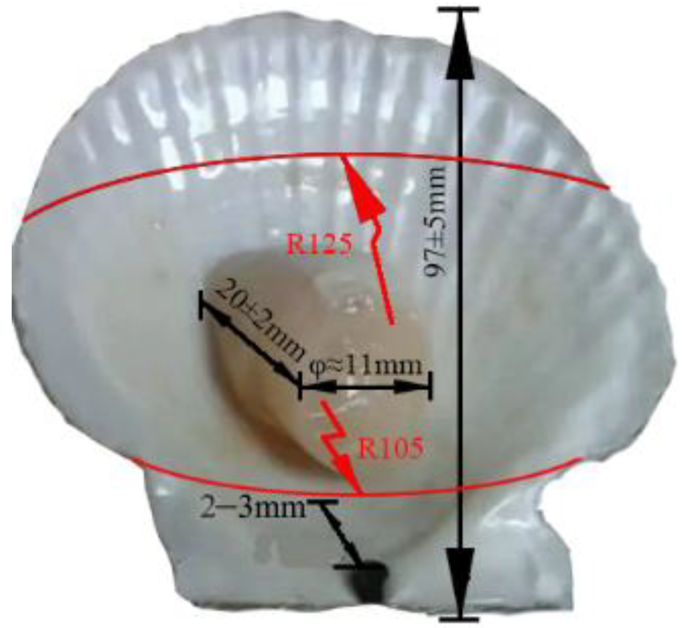 Coatings 12 00963 g002
