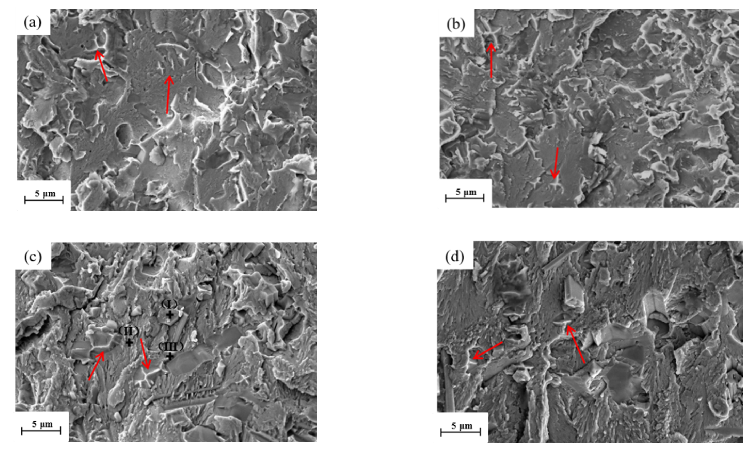 Coatings 12 00966 g007 550