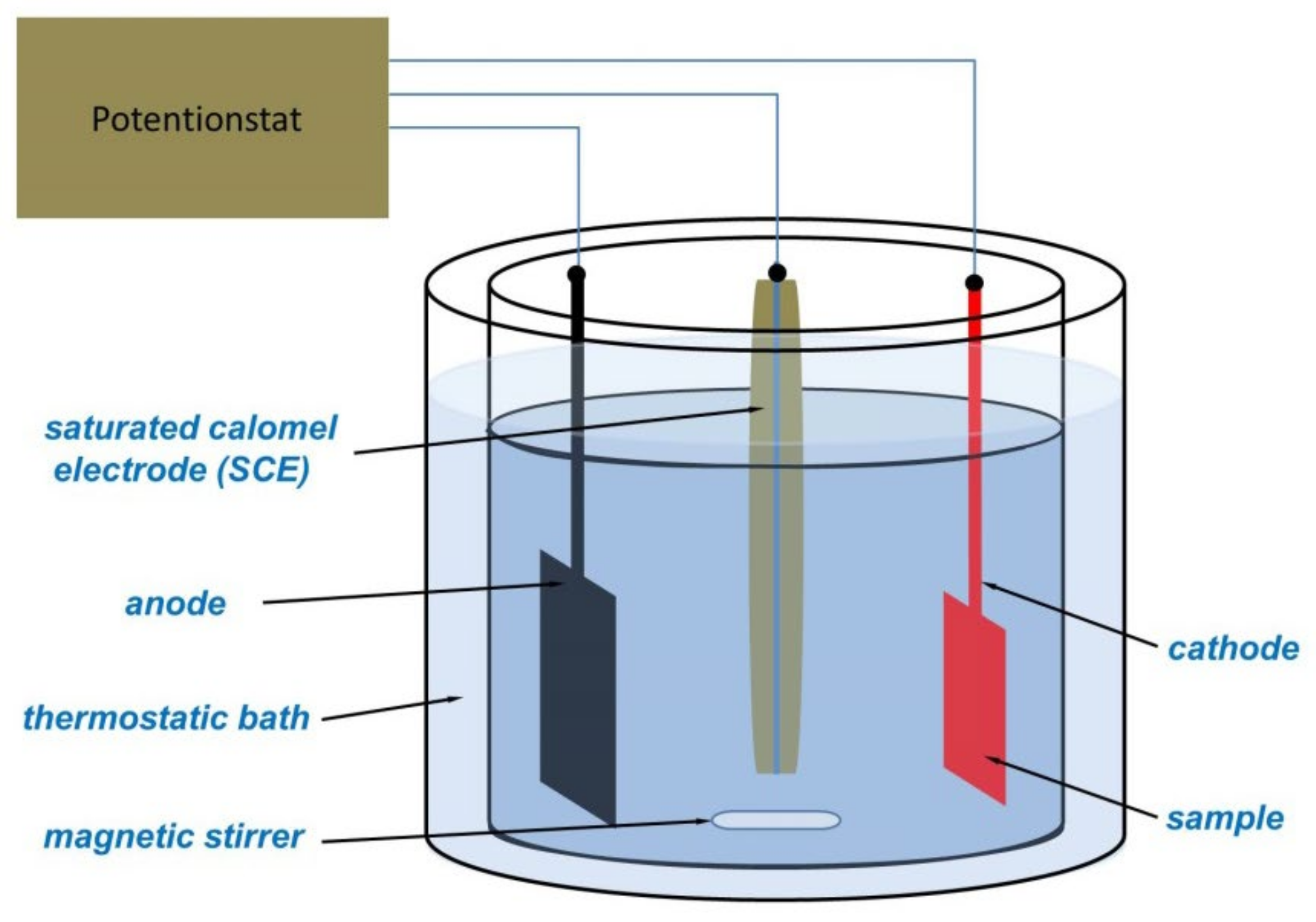 Coatings 12 00972 g001 550
