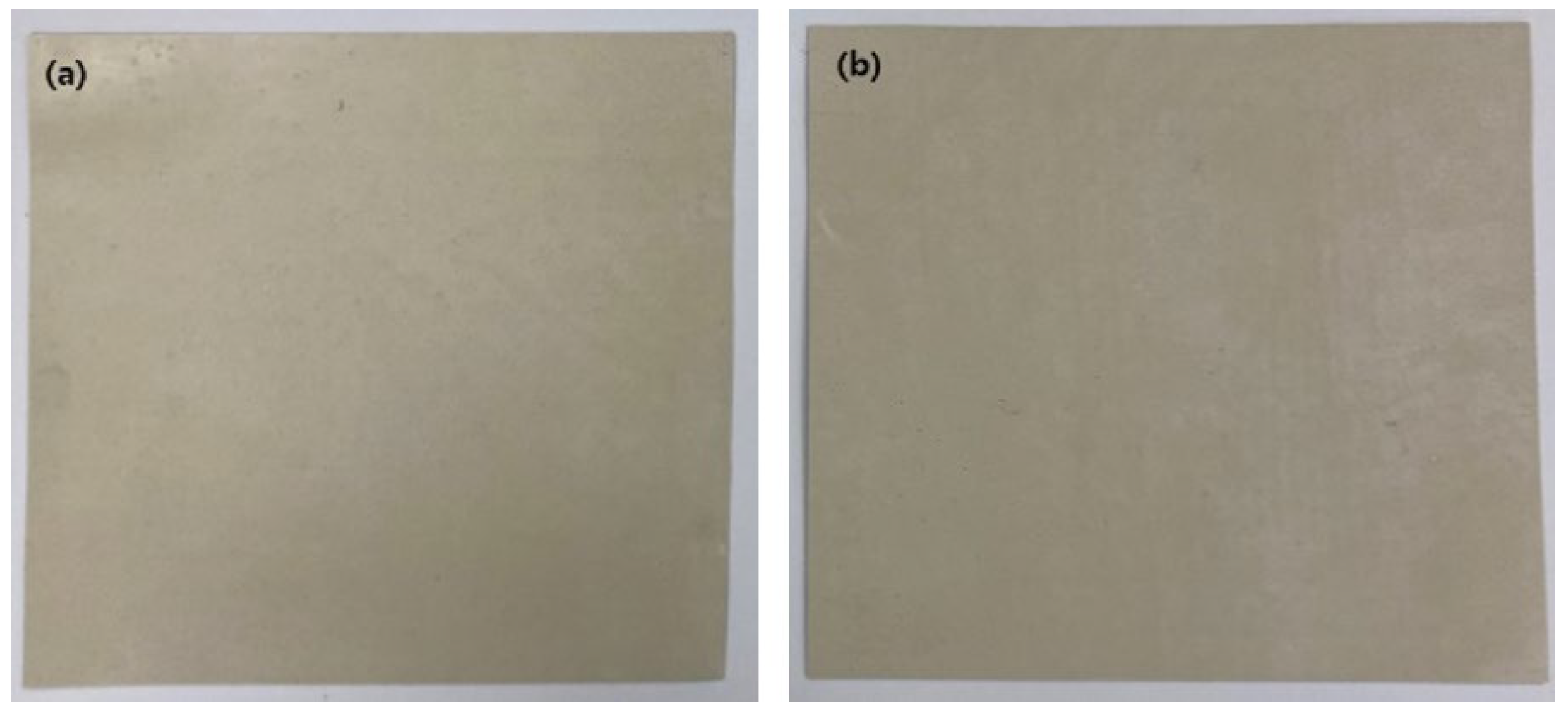 Coatings 12 00973 g005