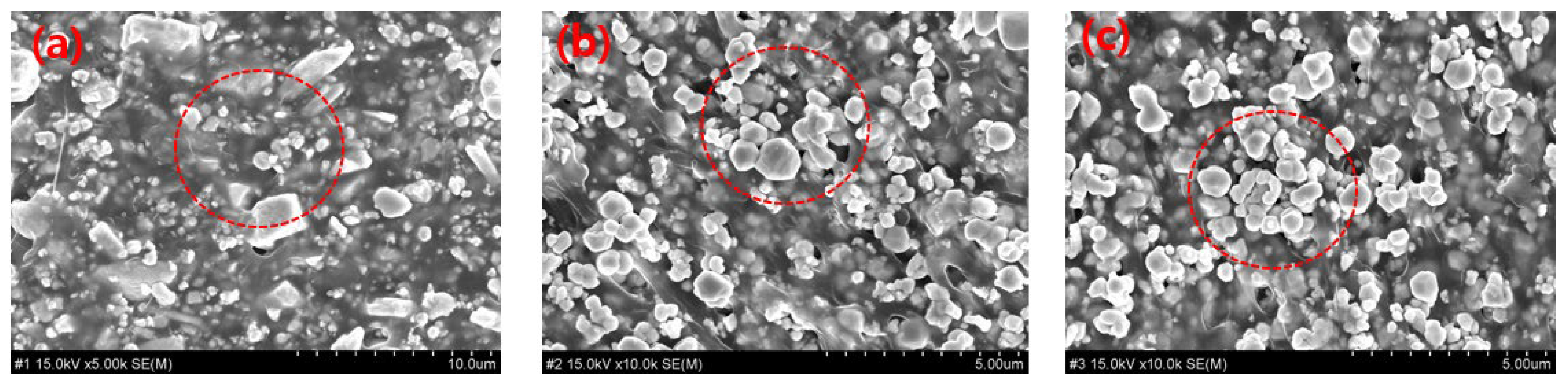 Coatings 12 00973 g007