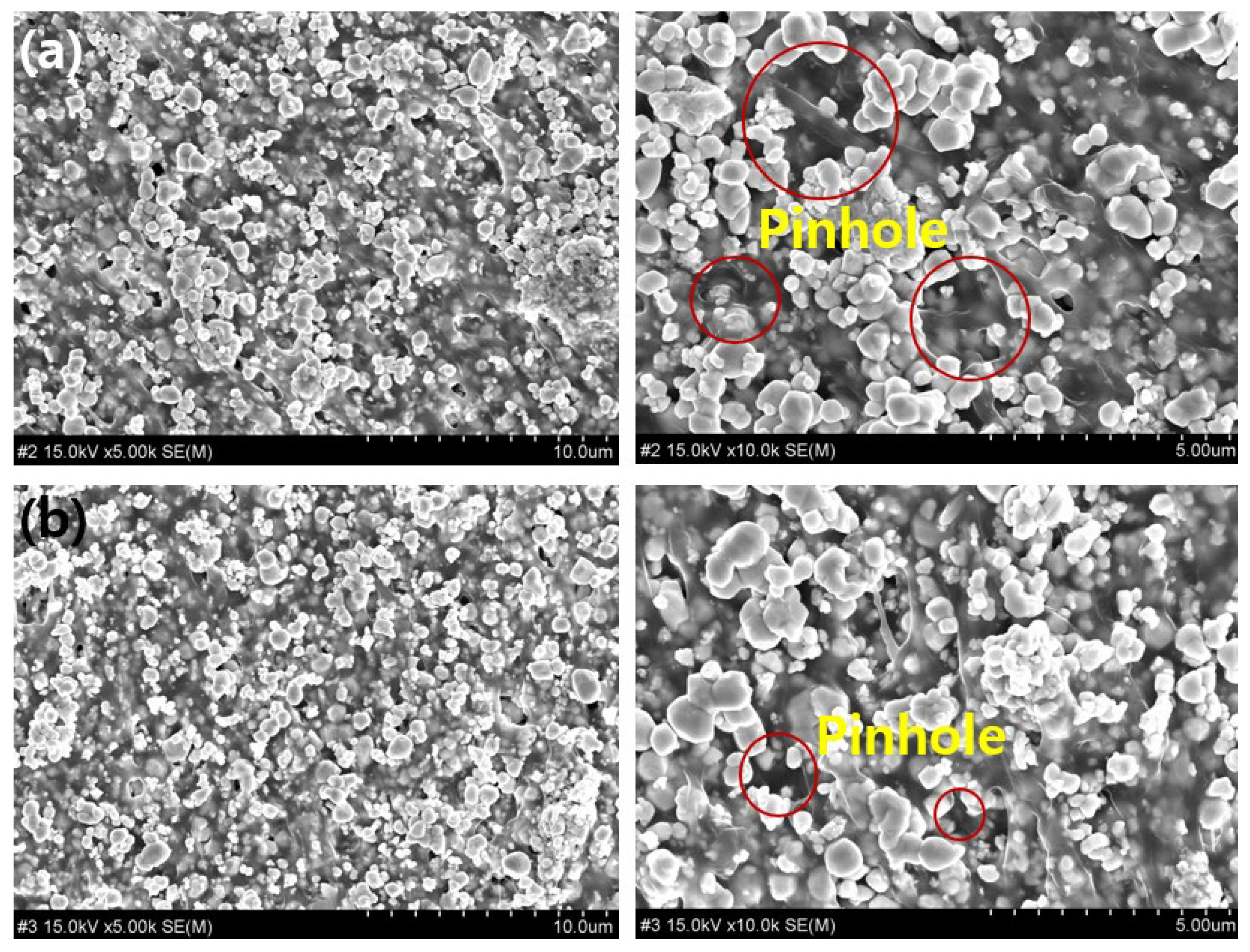 Coatings 12 00973 g008