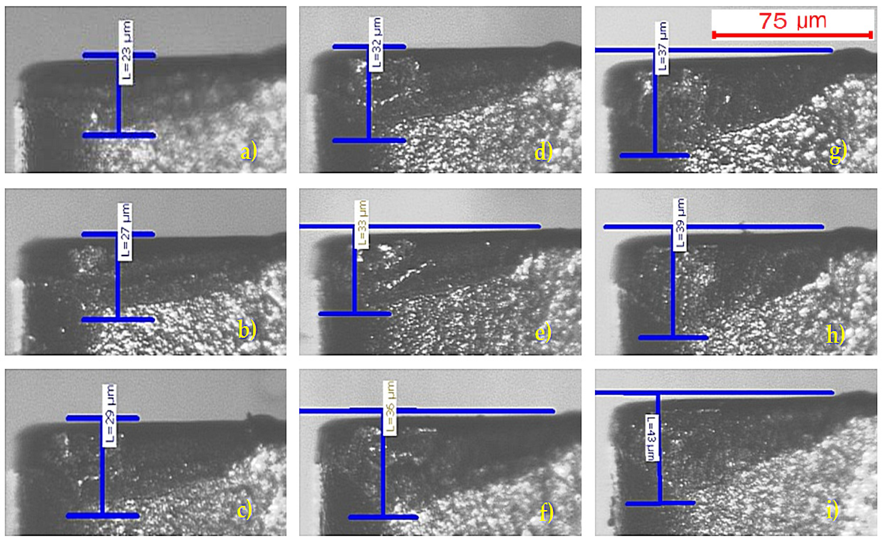 Coatings 12 00974 g005 550