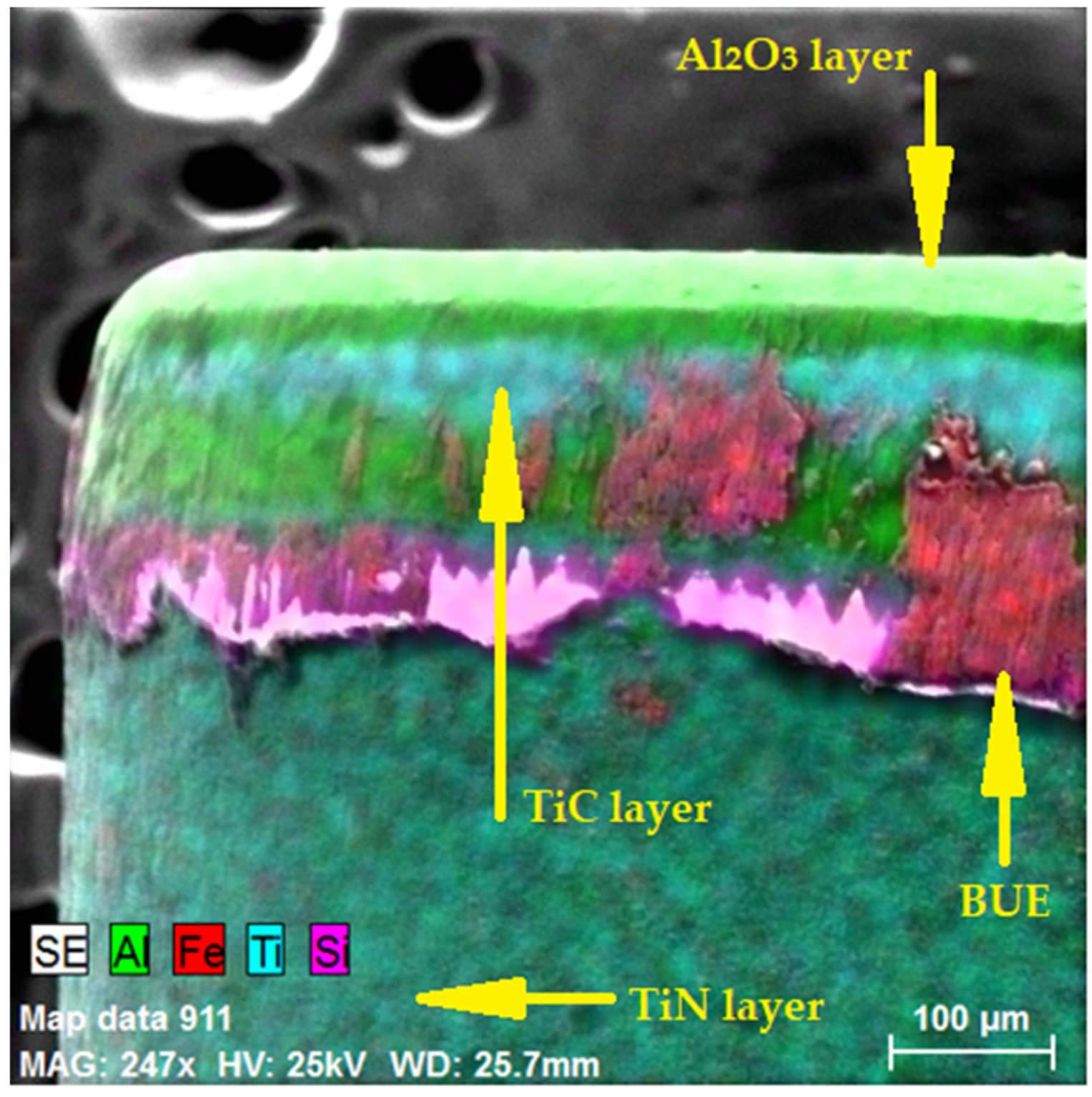 Coatings 12 00974 g008 550