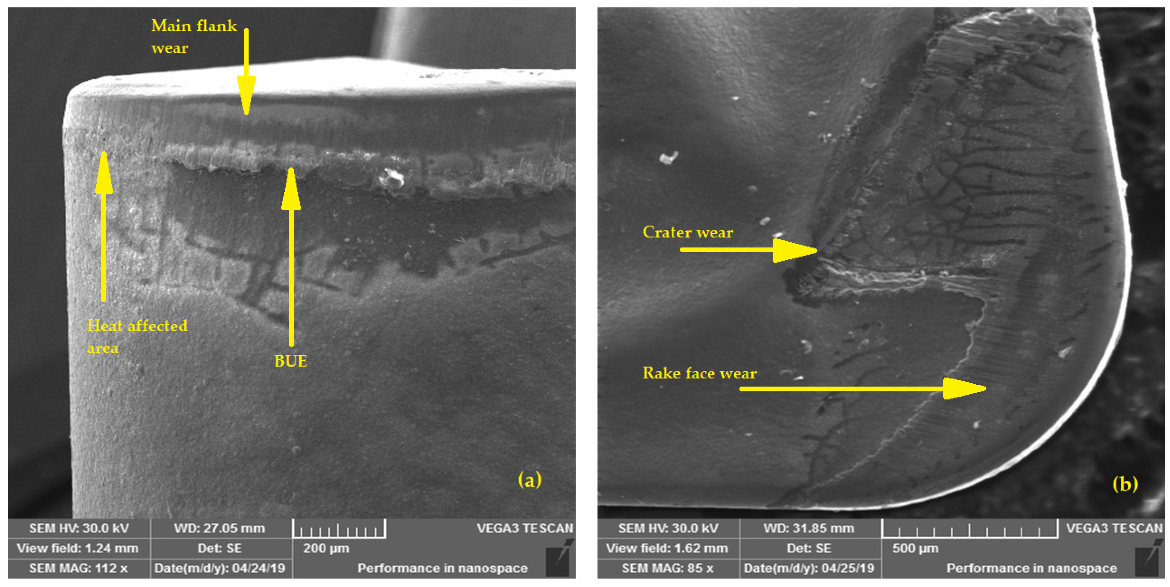 Coatings 12 00974 g009 550