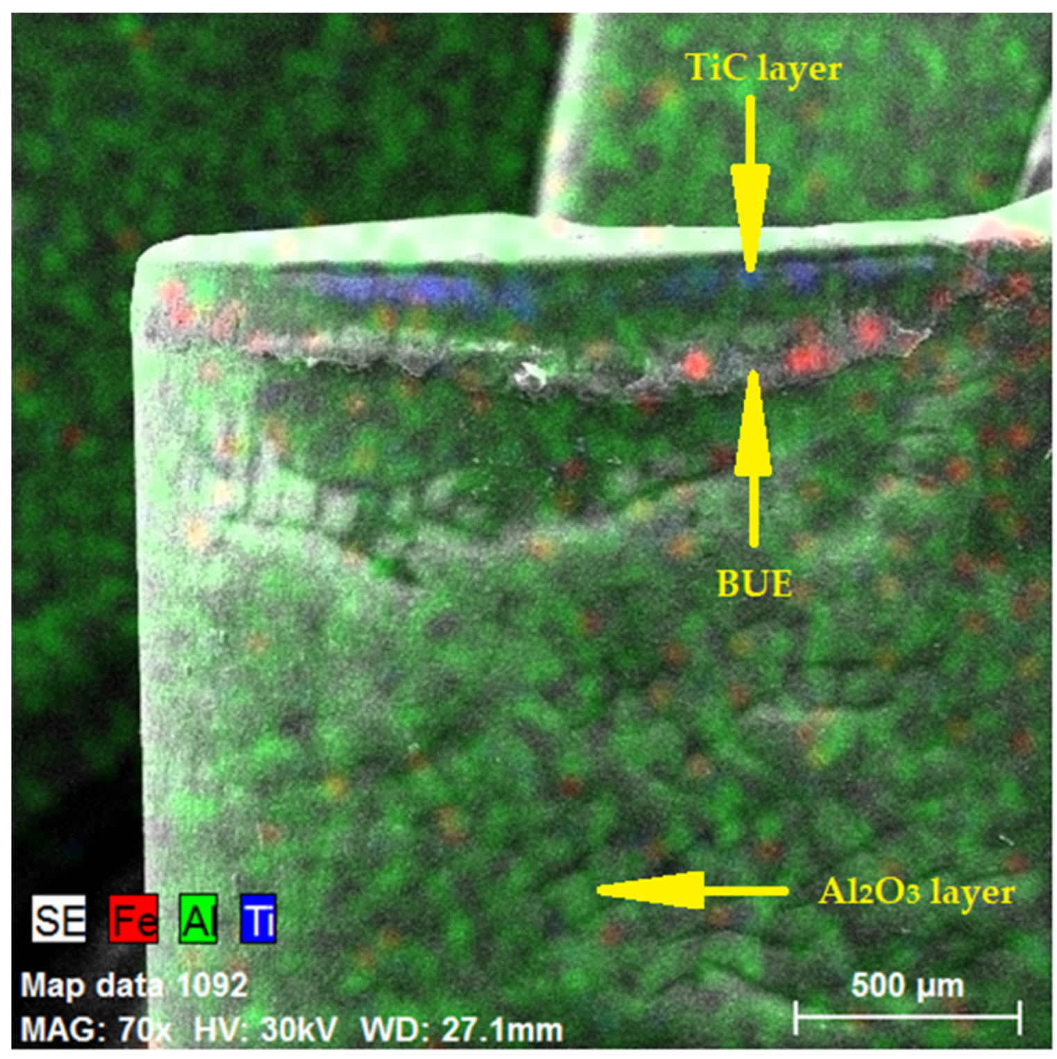 Coatings 12 00974 g010 550