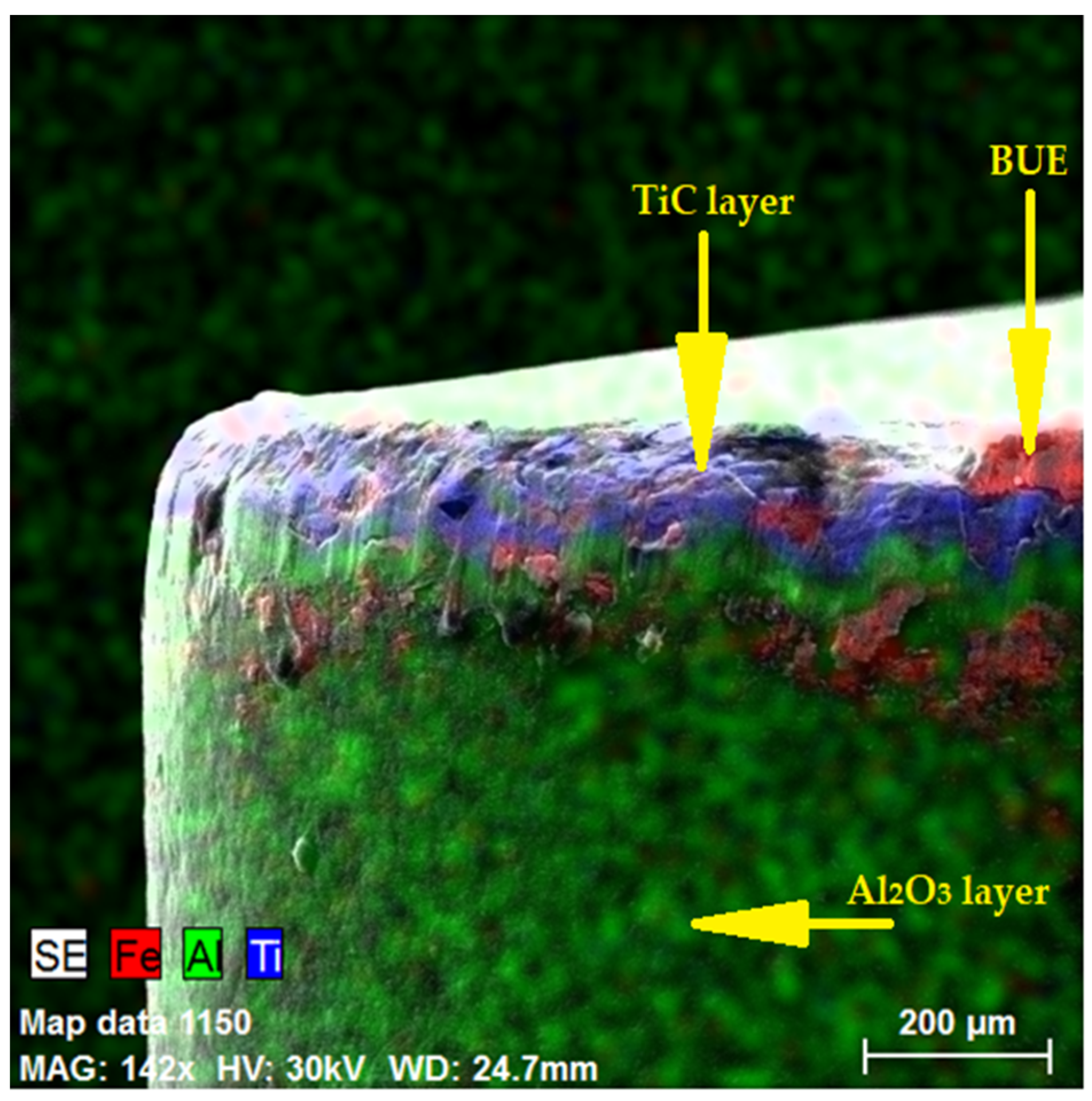 Coatings 12 00974 g012 550