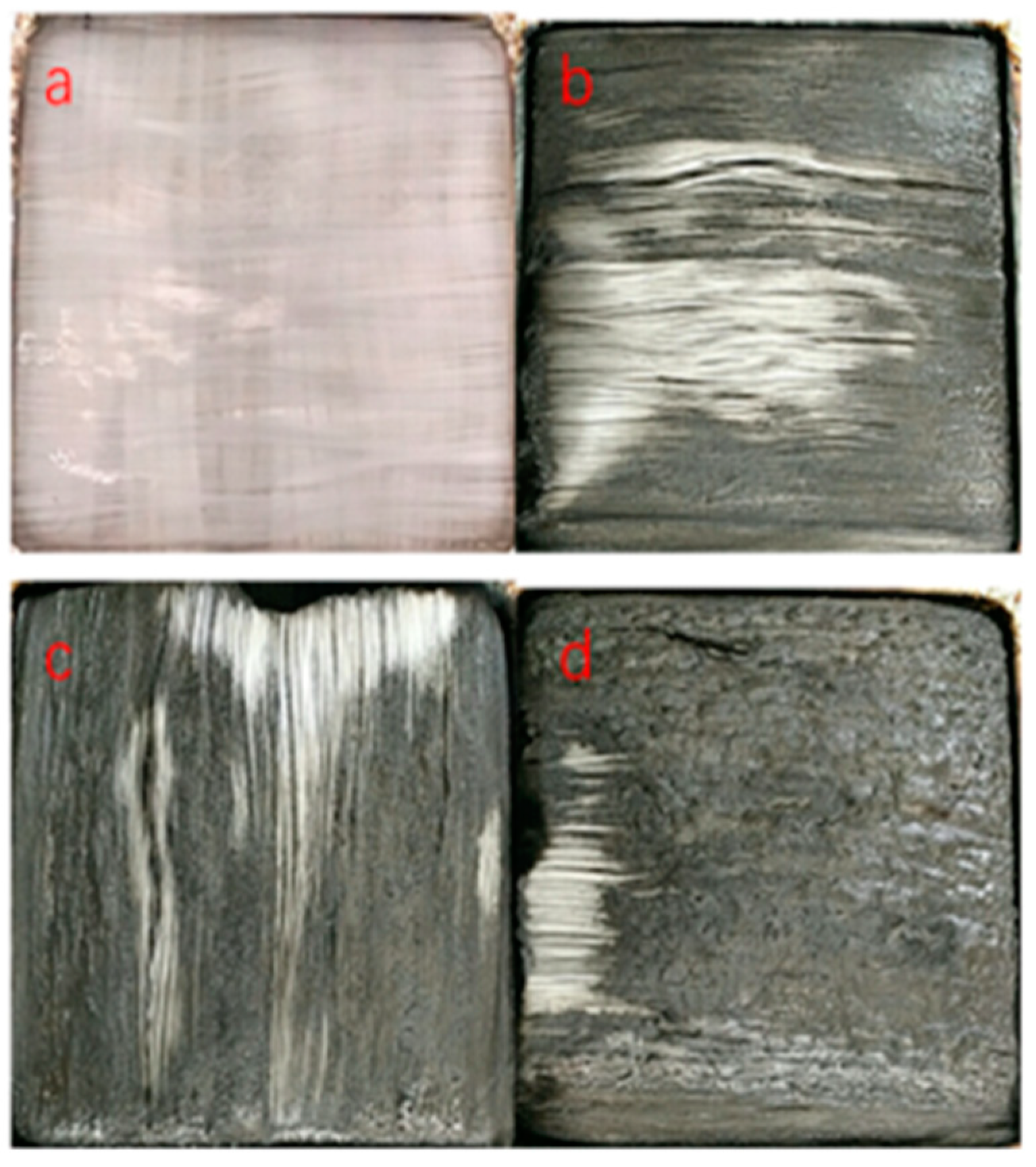 Coatings 12 00976 g009