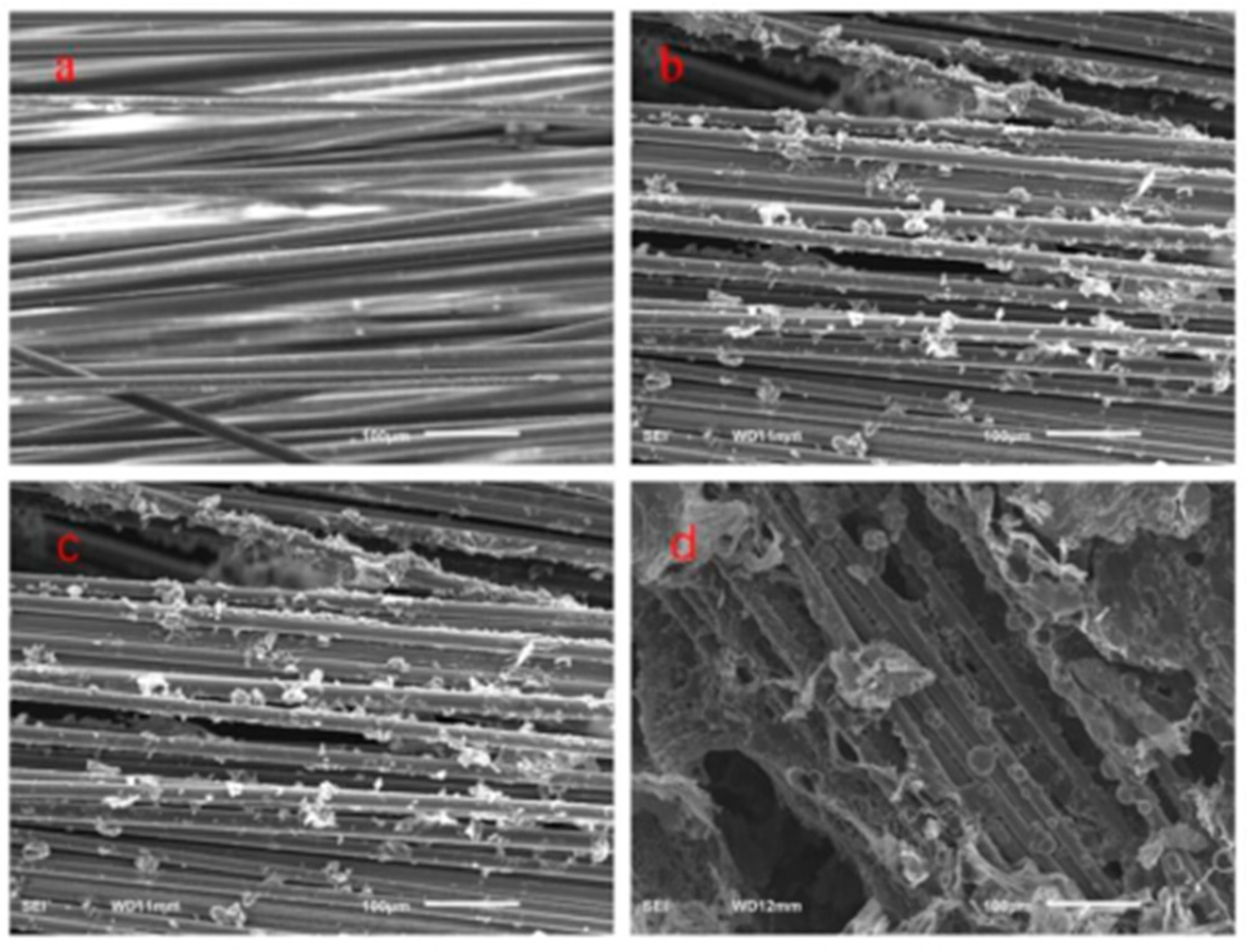 Coatings 12 00976 g011