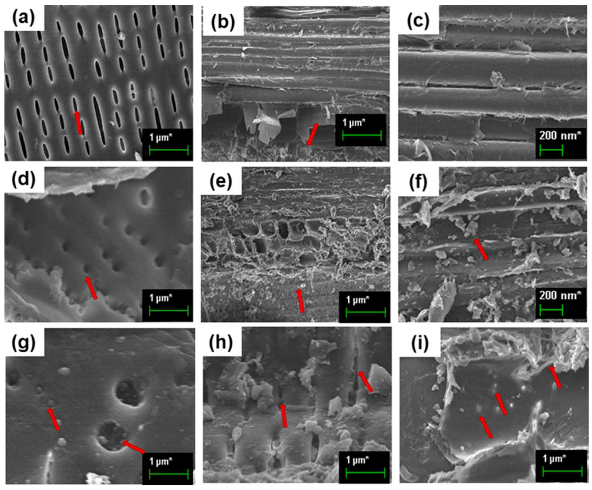 Coatings 12 00980 g003 Coatings 12 00980 g003