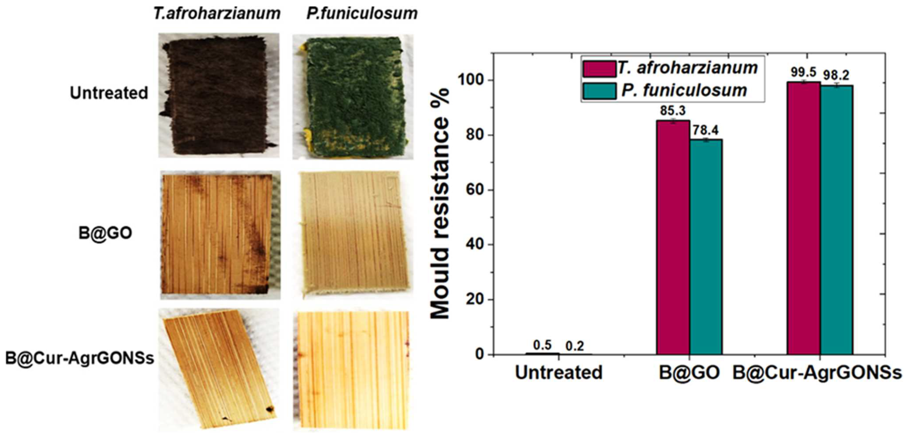 Coatings 12 00980 g005 Coatings 12 00980 g005