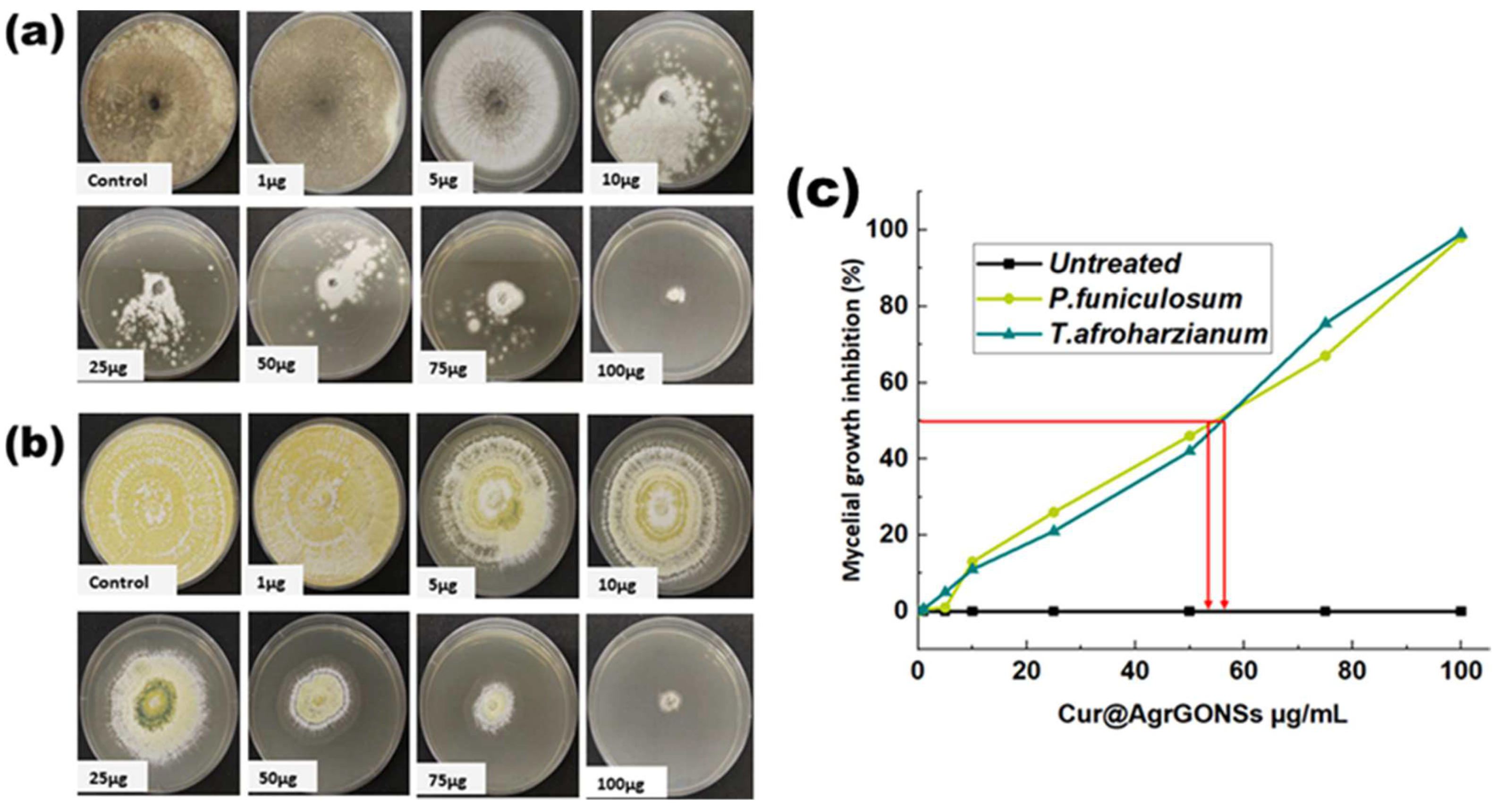 Coatings 12 00980 g008 Coatings 12 00980 g008