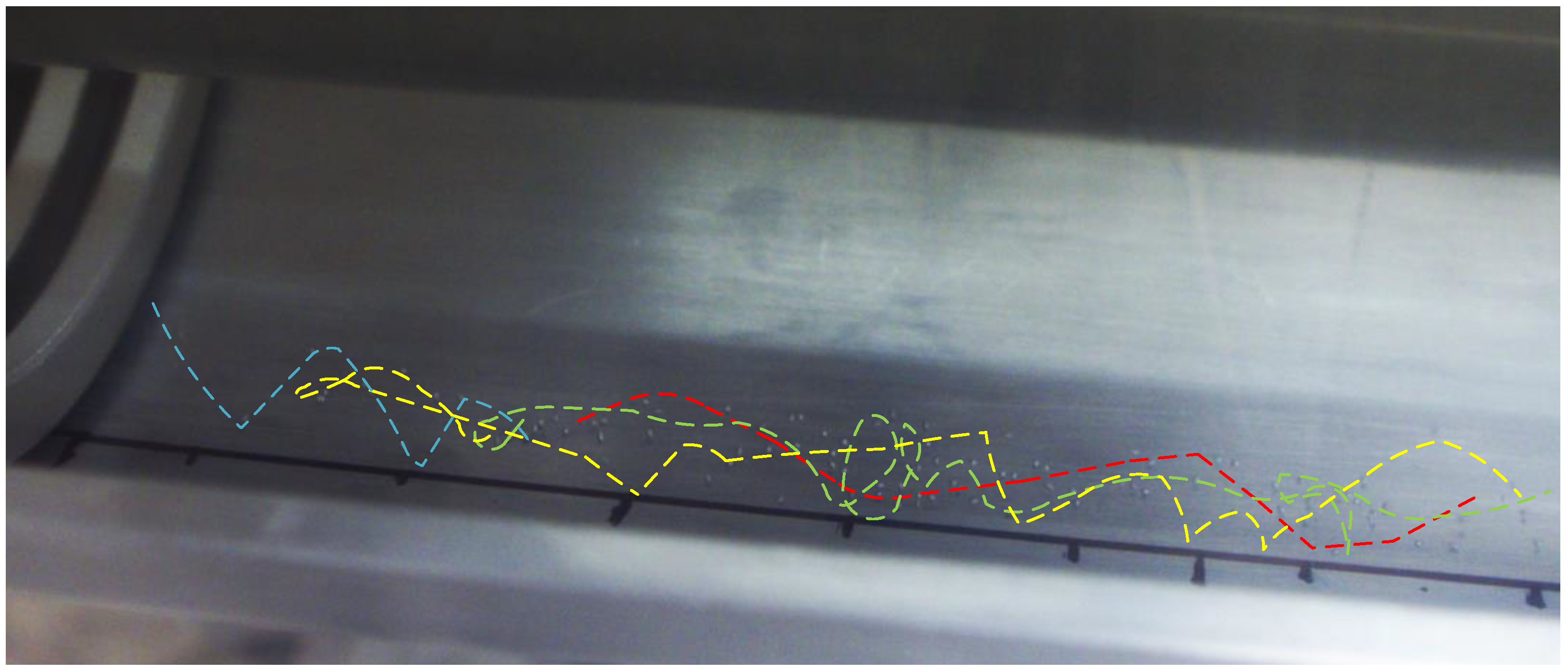Coatings 12 00981 g010