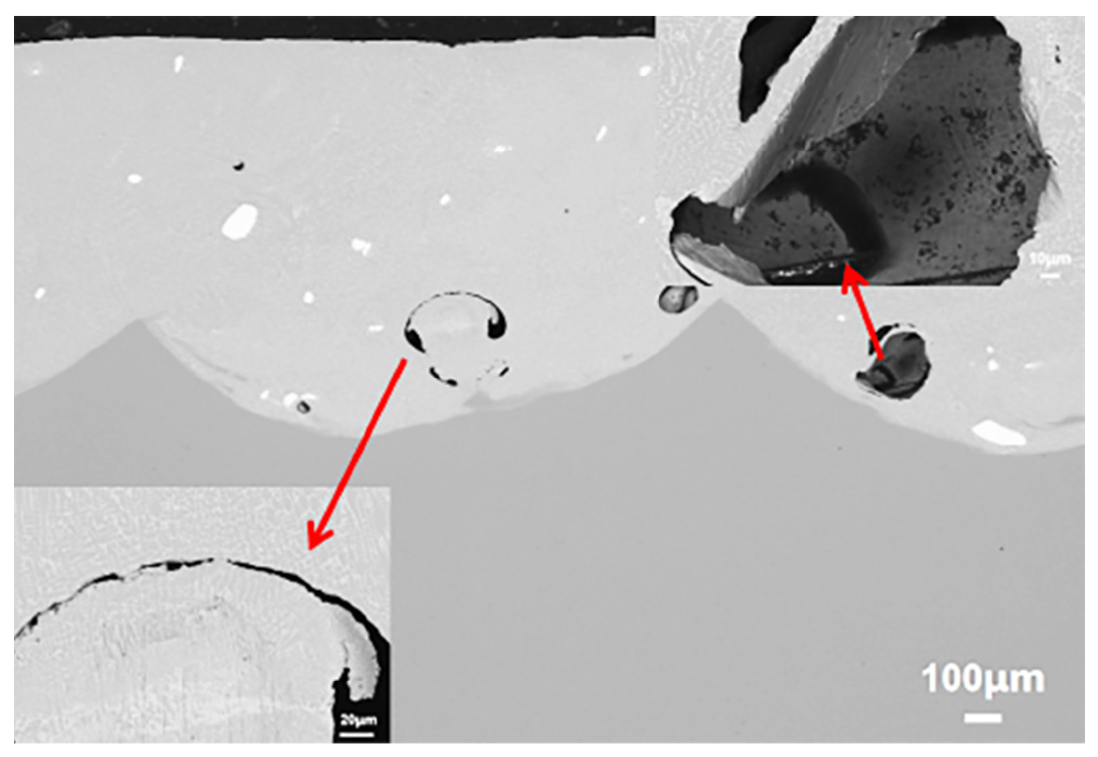 Coatings 12 00985 g008