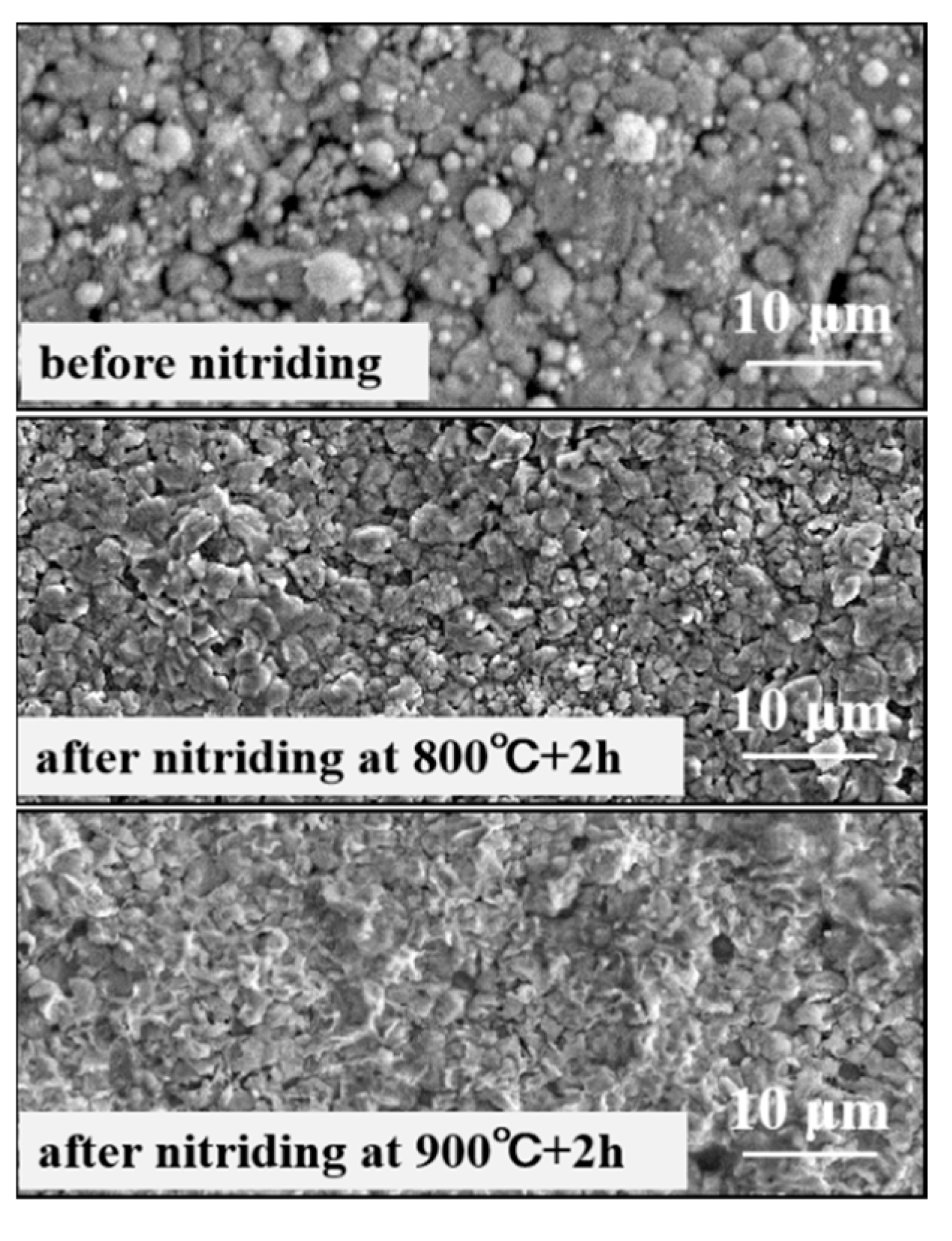 Coatings 12 00987 g003 550