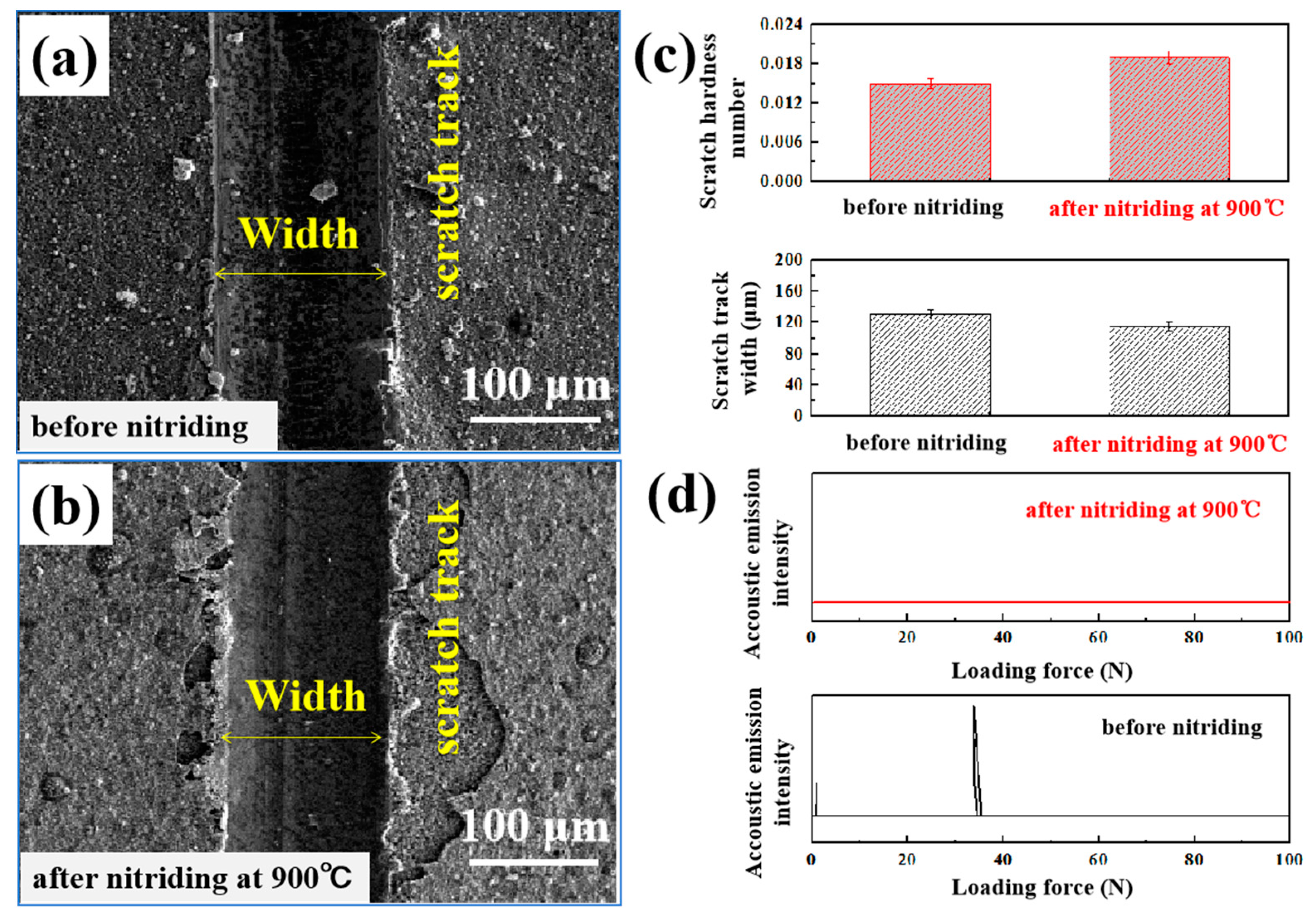 Coatings 12 00987 g004 550