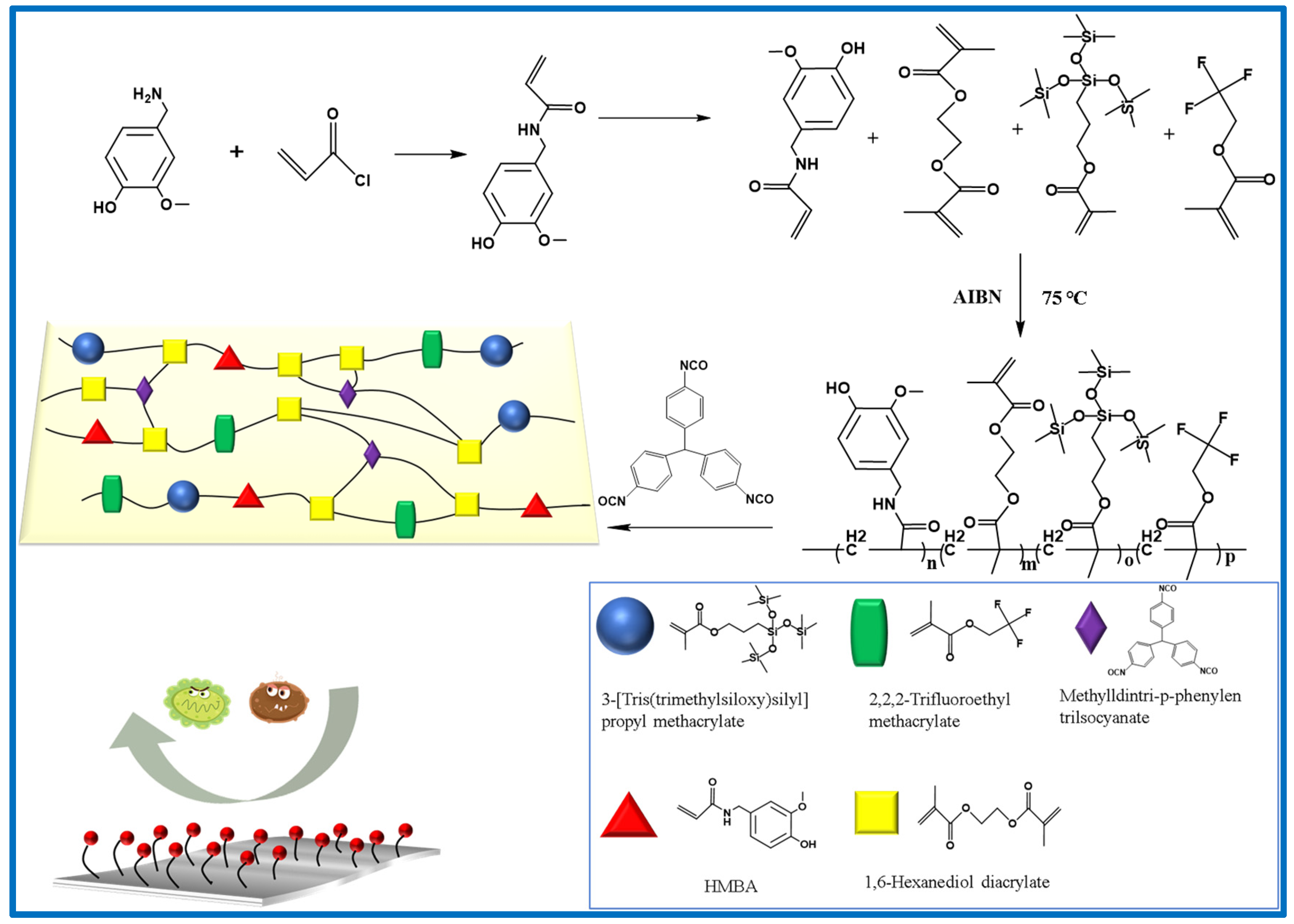 Coatings 12 00988 g001 550