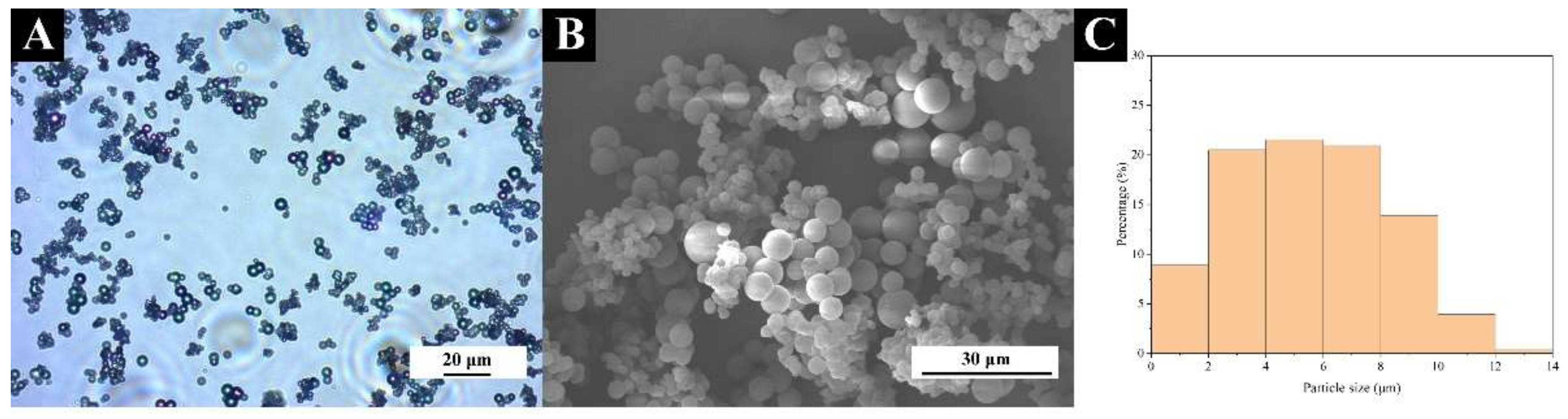 Coatings 12 00989 g002 550