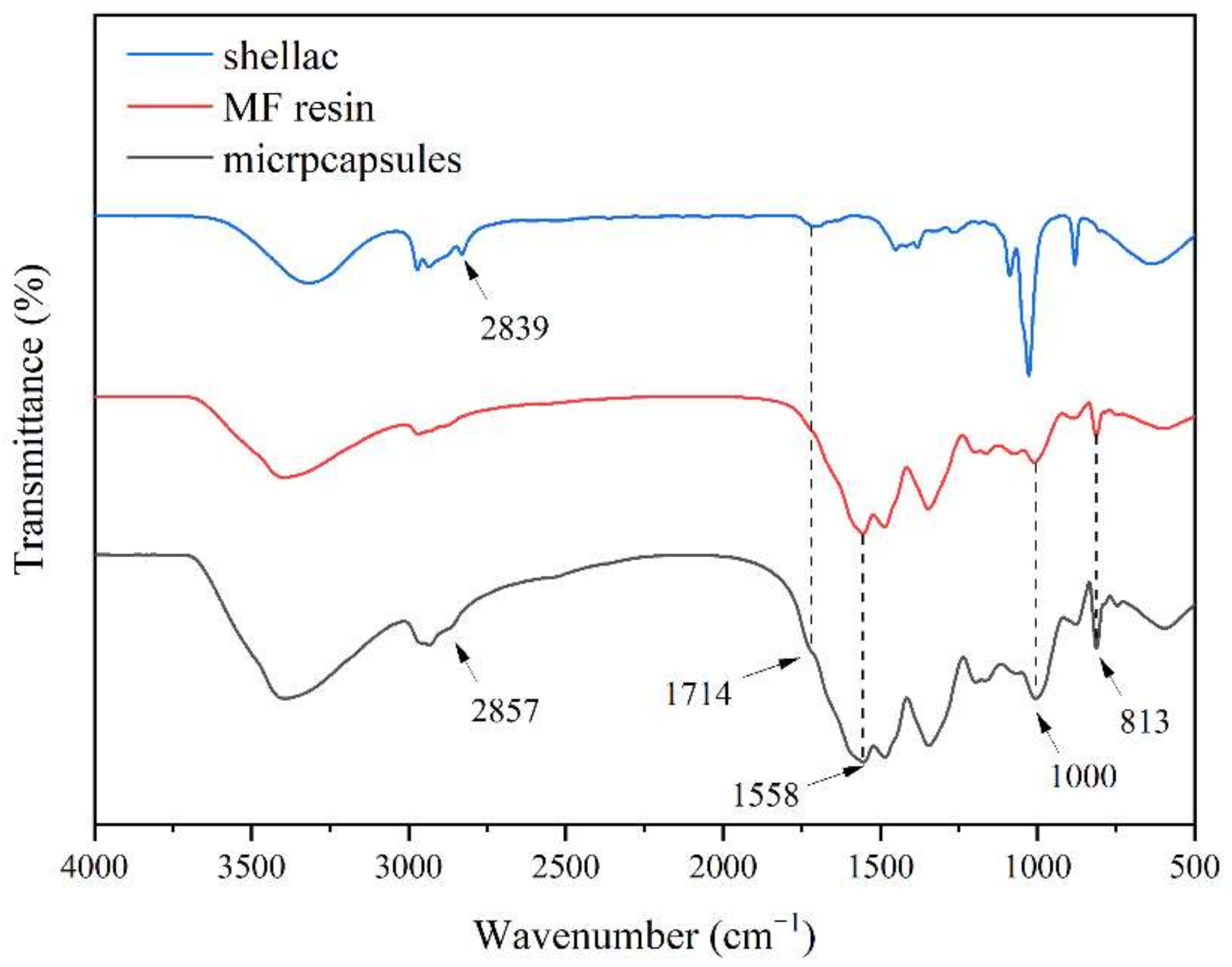 Coatings 12 00989 g003 550