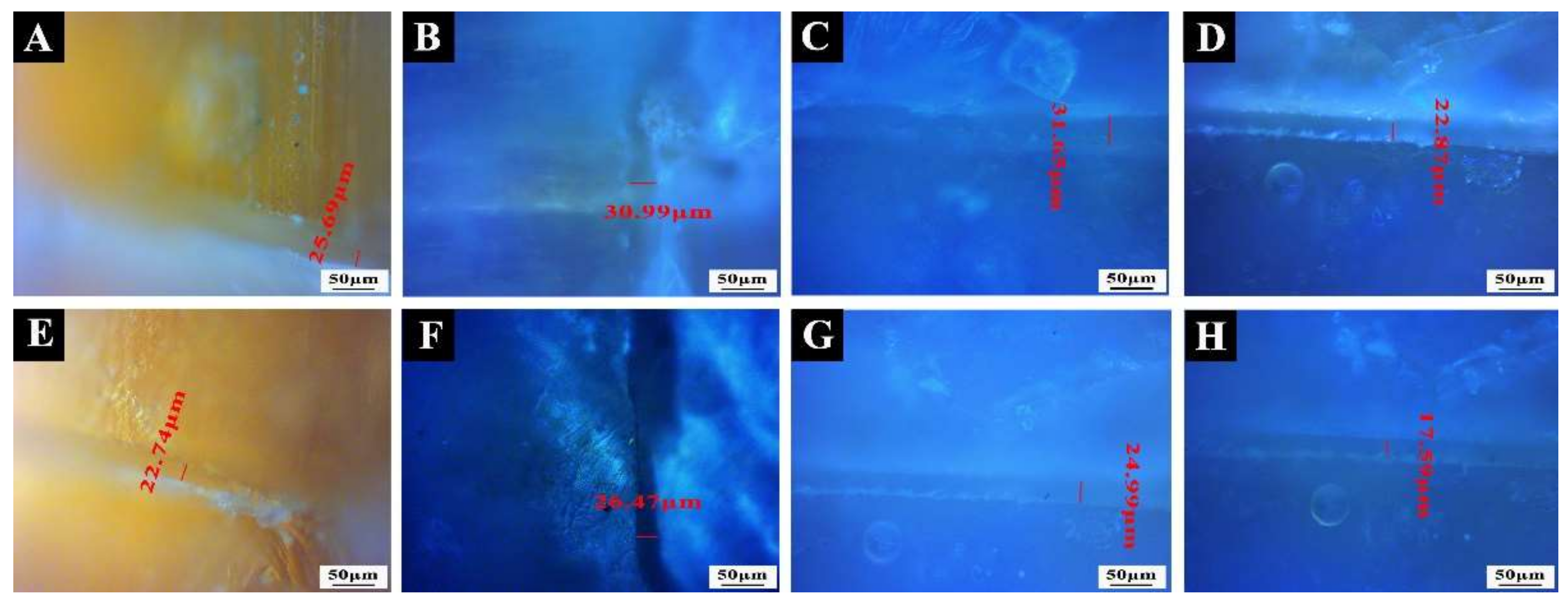 Coatings 12 00989 g004 550