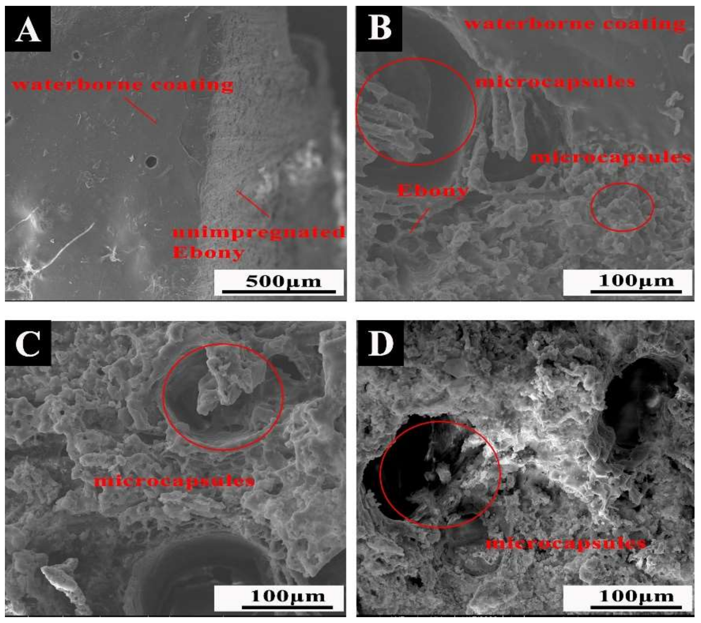 Coatings 12 00989 g006 550
