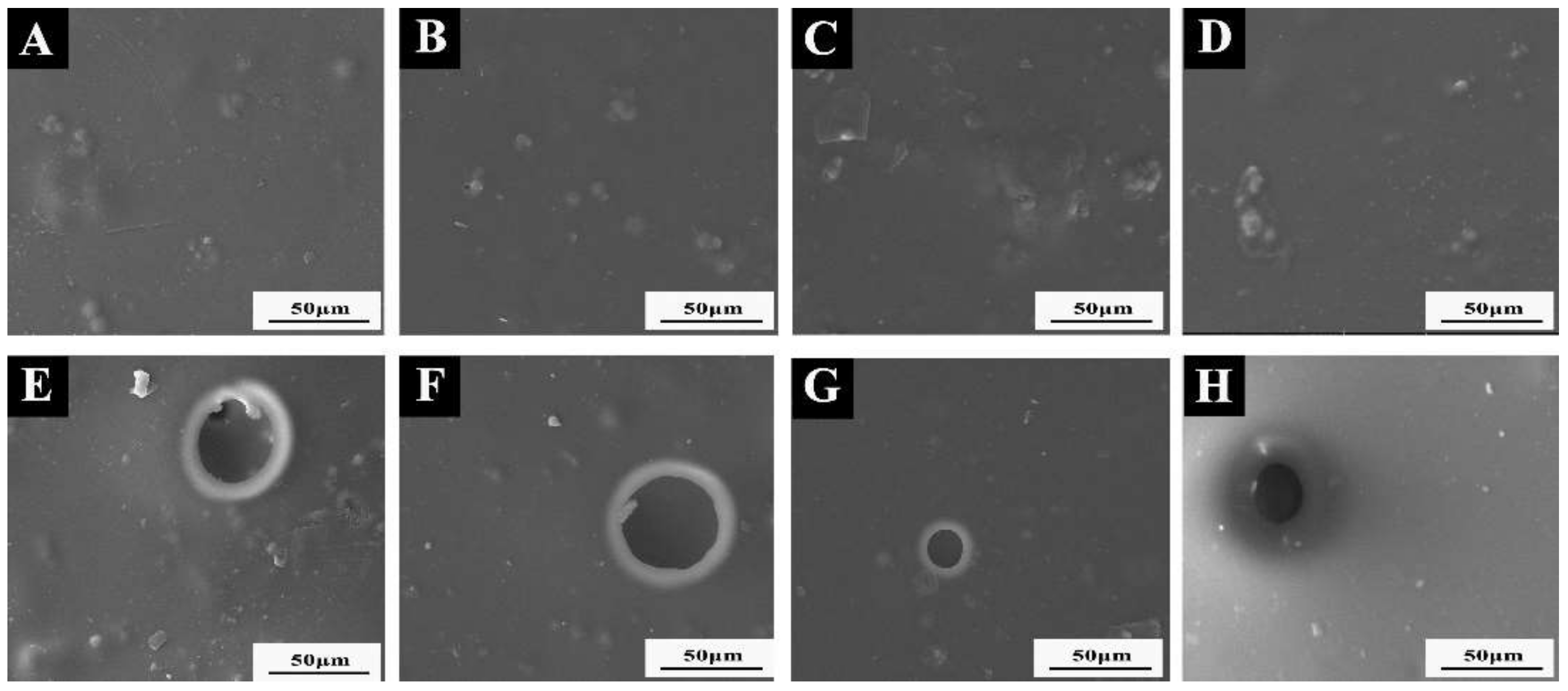 Coatings 12 00989 g008 550
