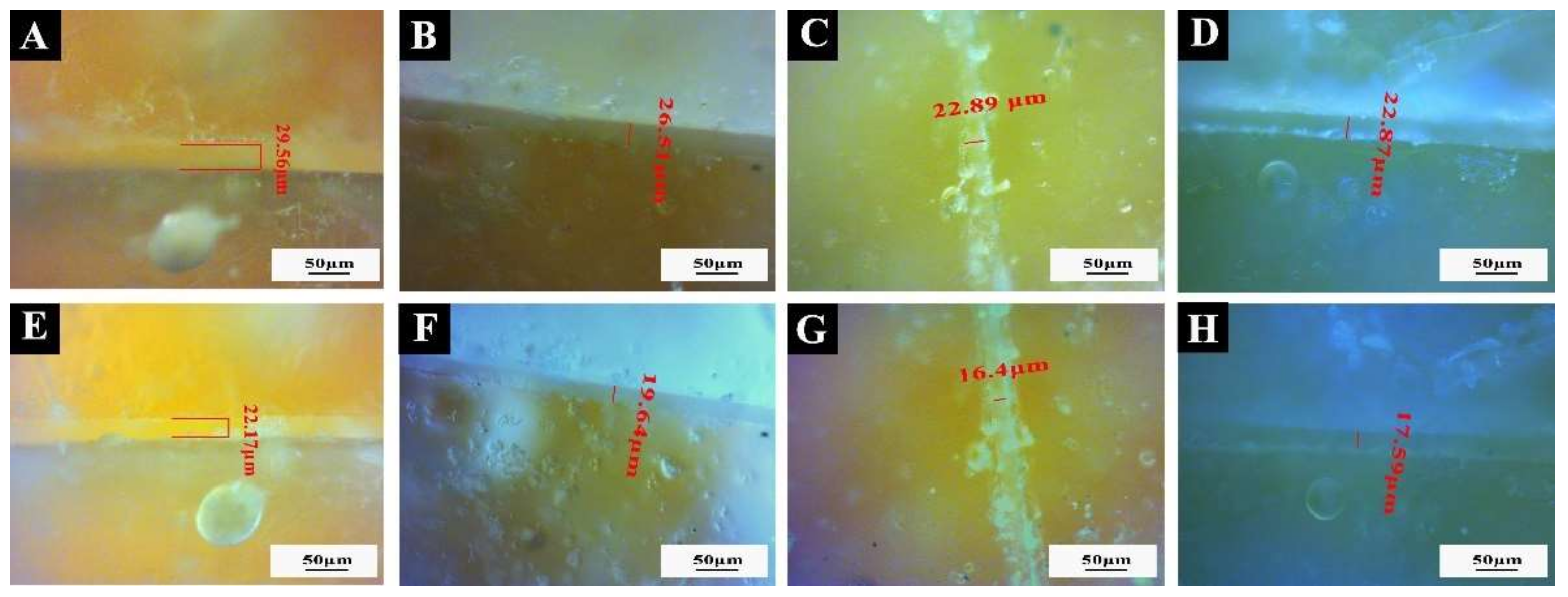 Coatings 12 00989 g011 550