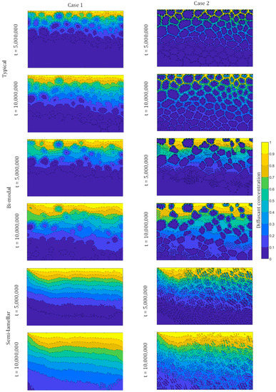 Kinetic Modeling of Grain Boundary Diffusion: Typical, Bi-Modal, and ...