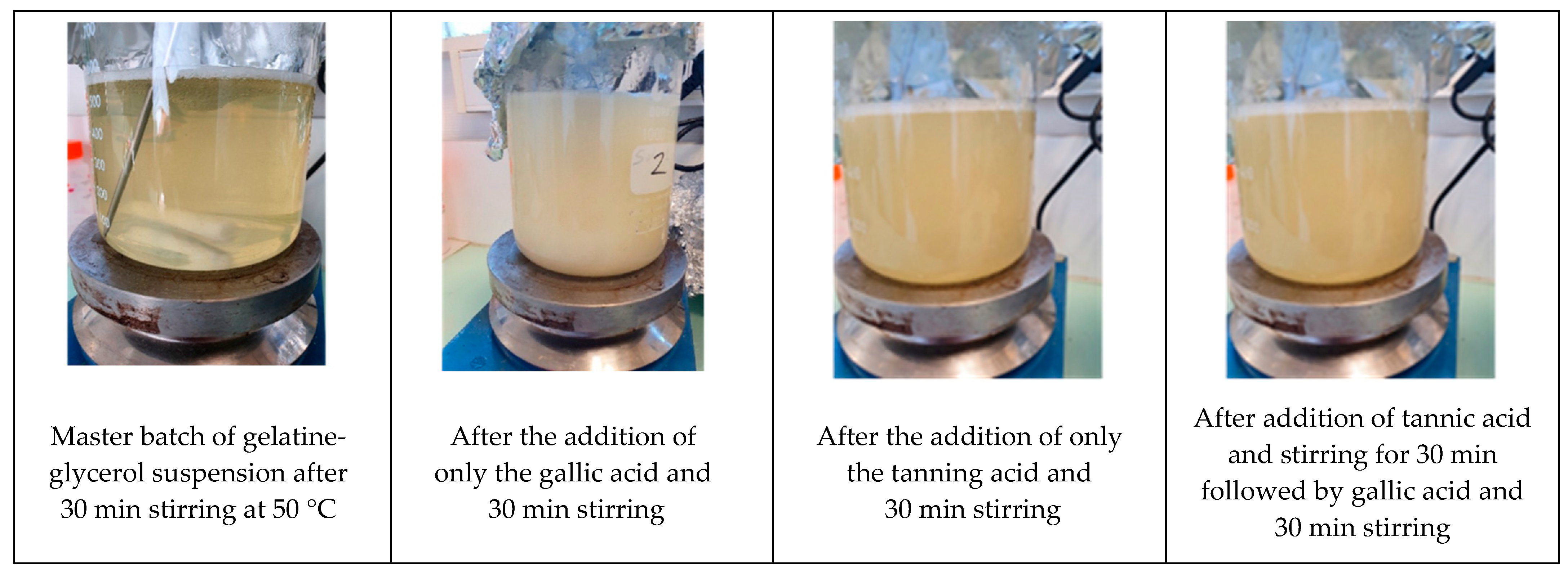Coatings Free FullText Influence of GelatinBased Coatings