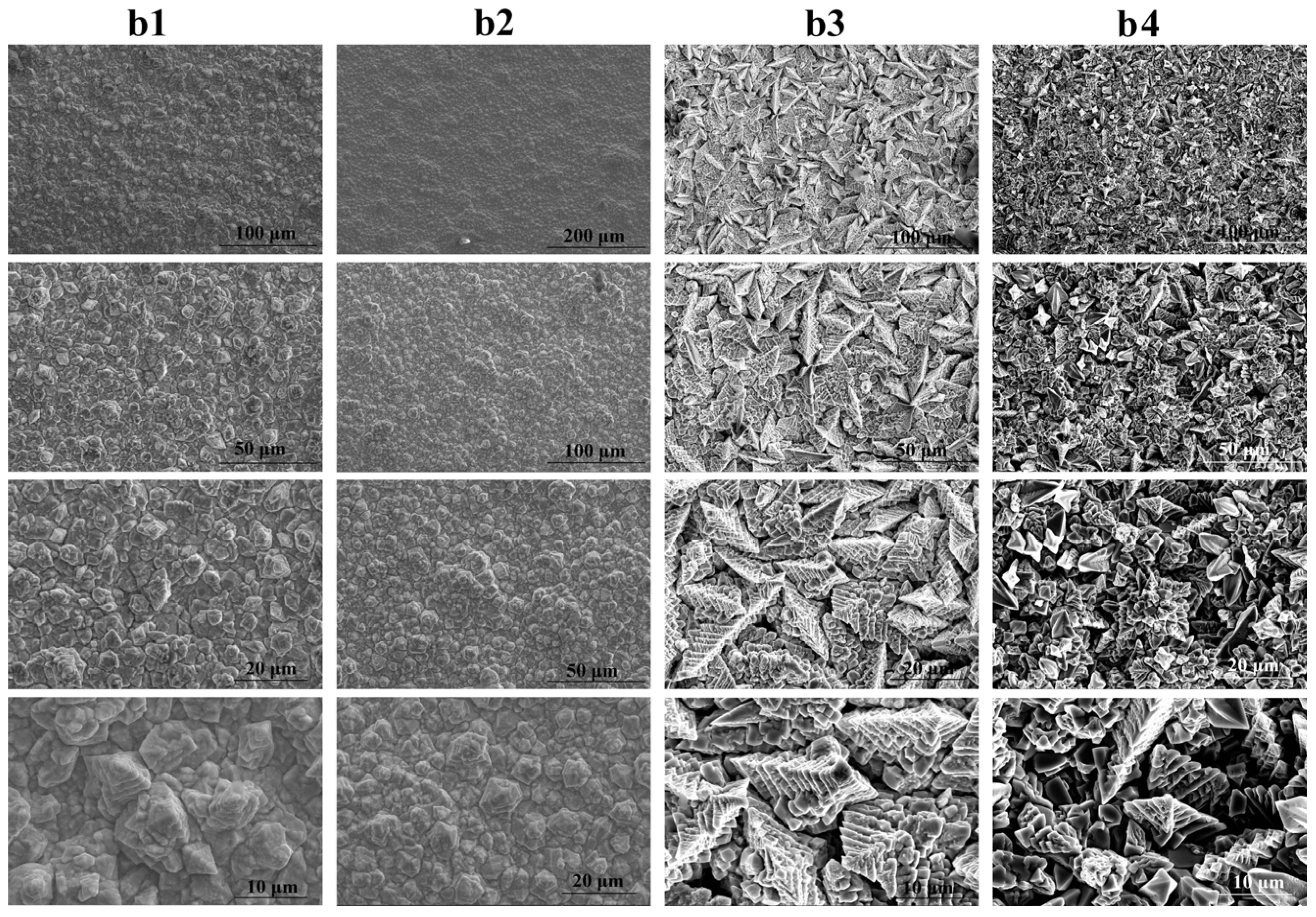 Coatings 12 00995 g009