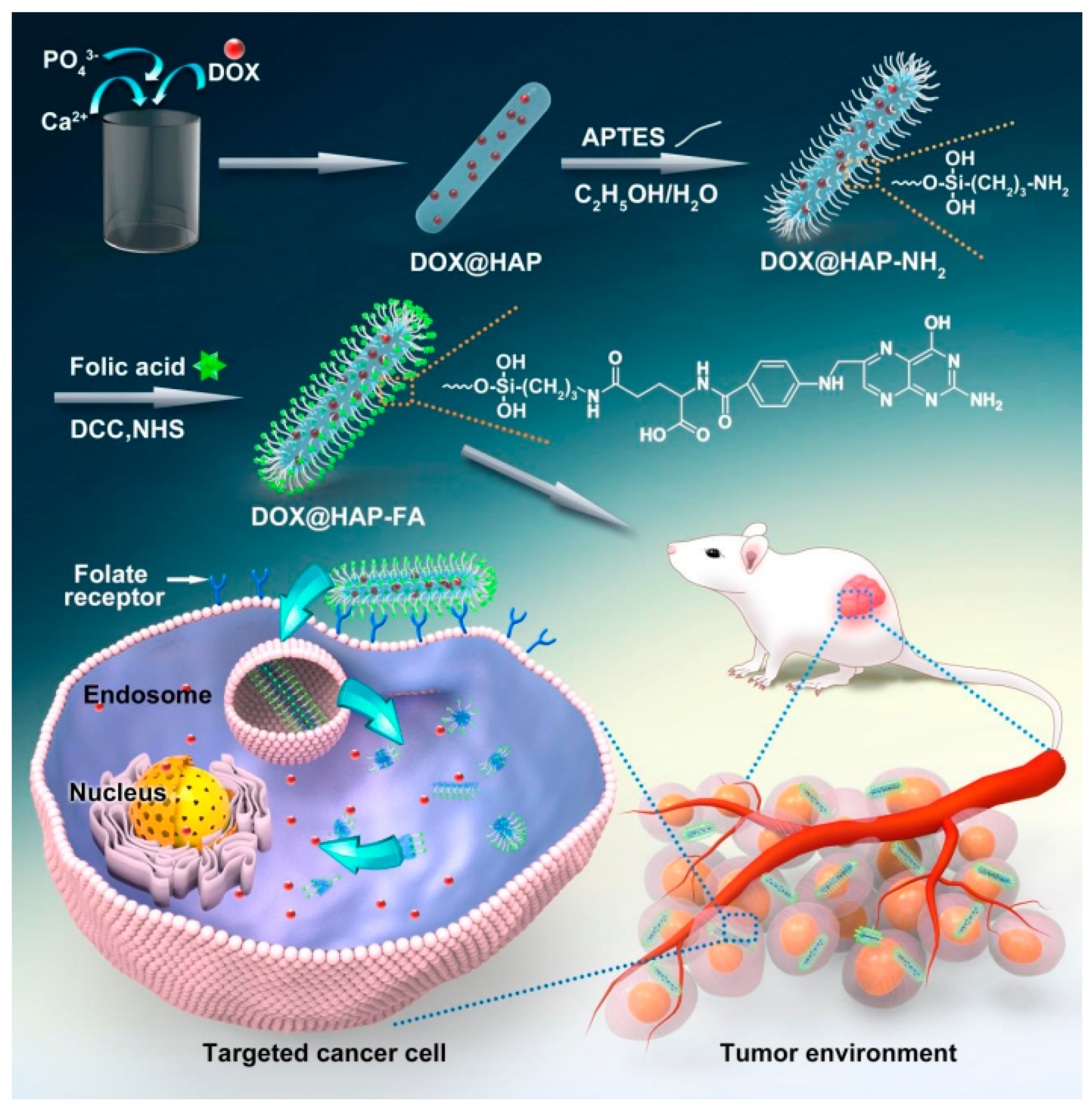 Coatings 12 00999 g004