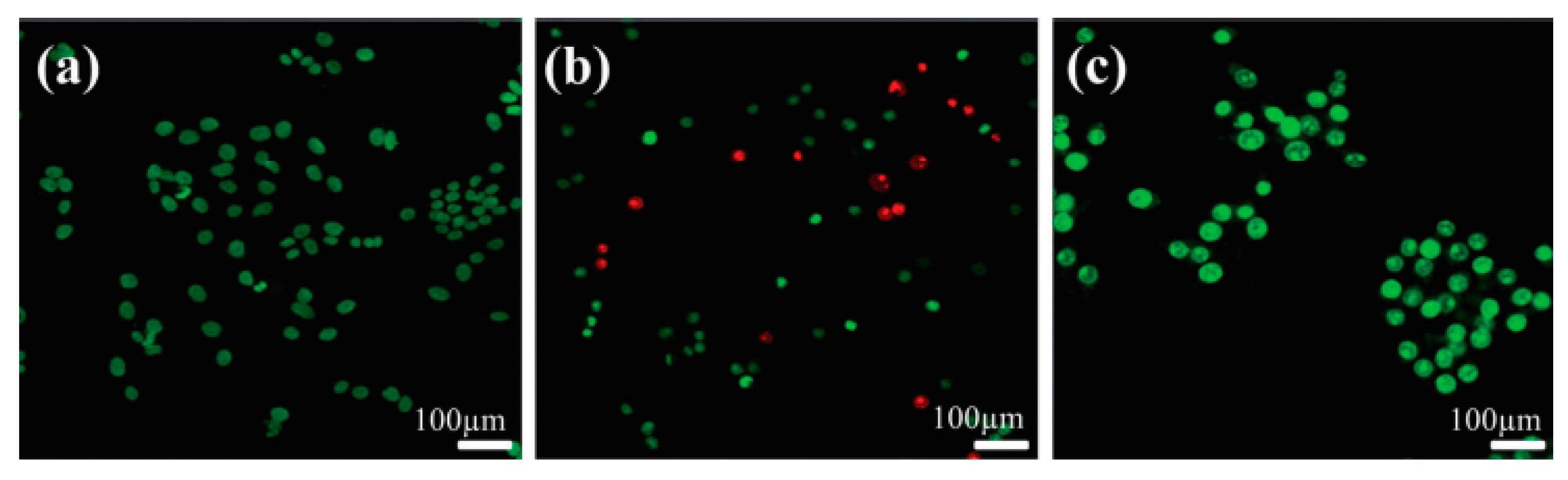 Coatings 12 00999 g007