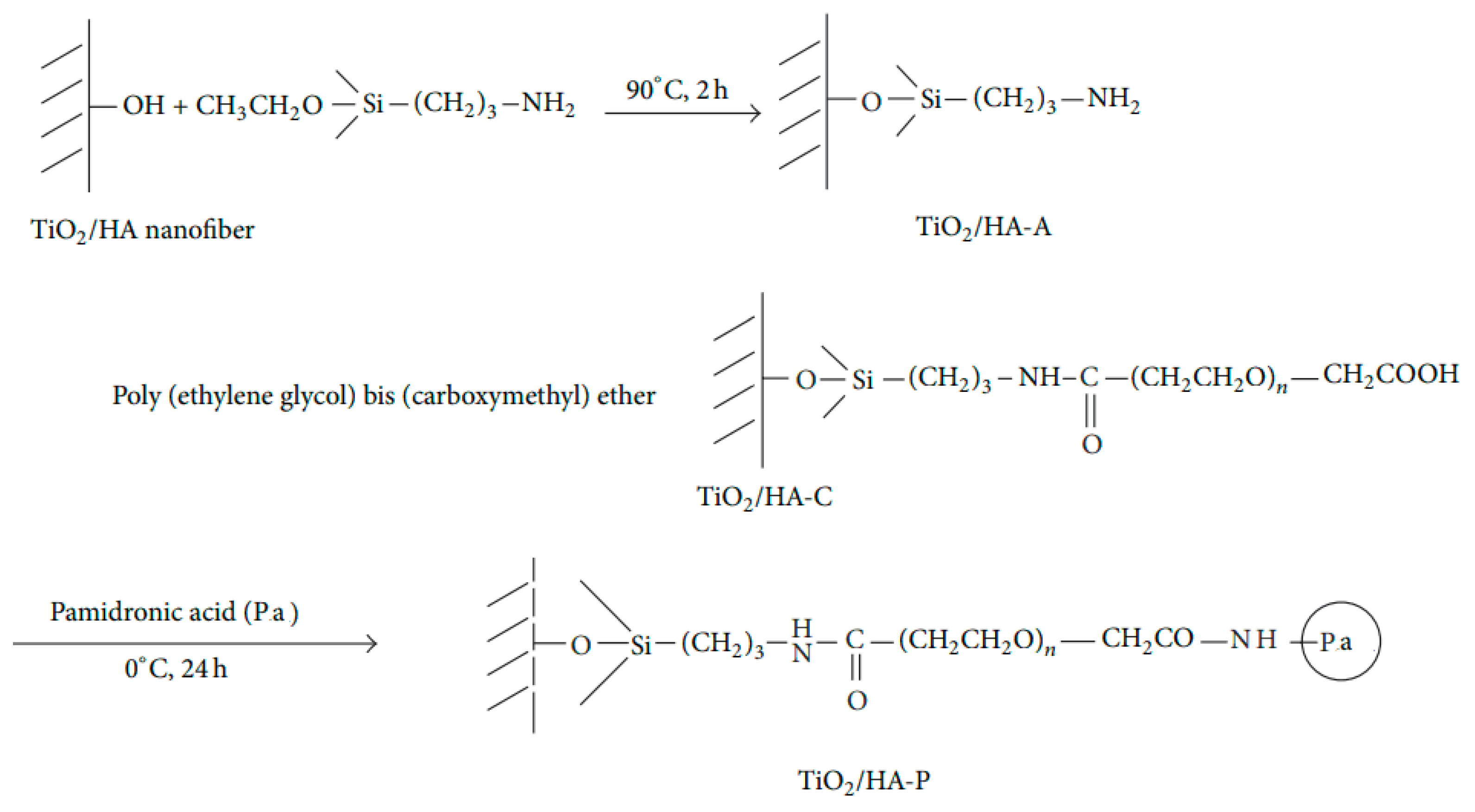 Coatings 12 00999 g008
