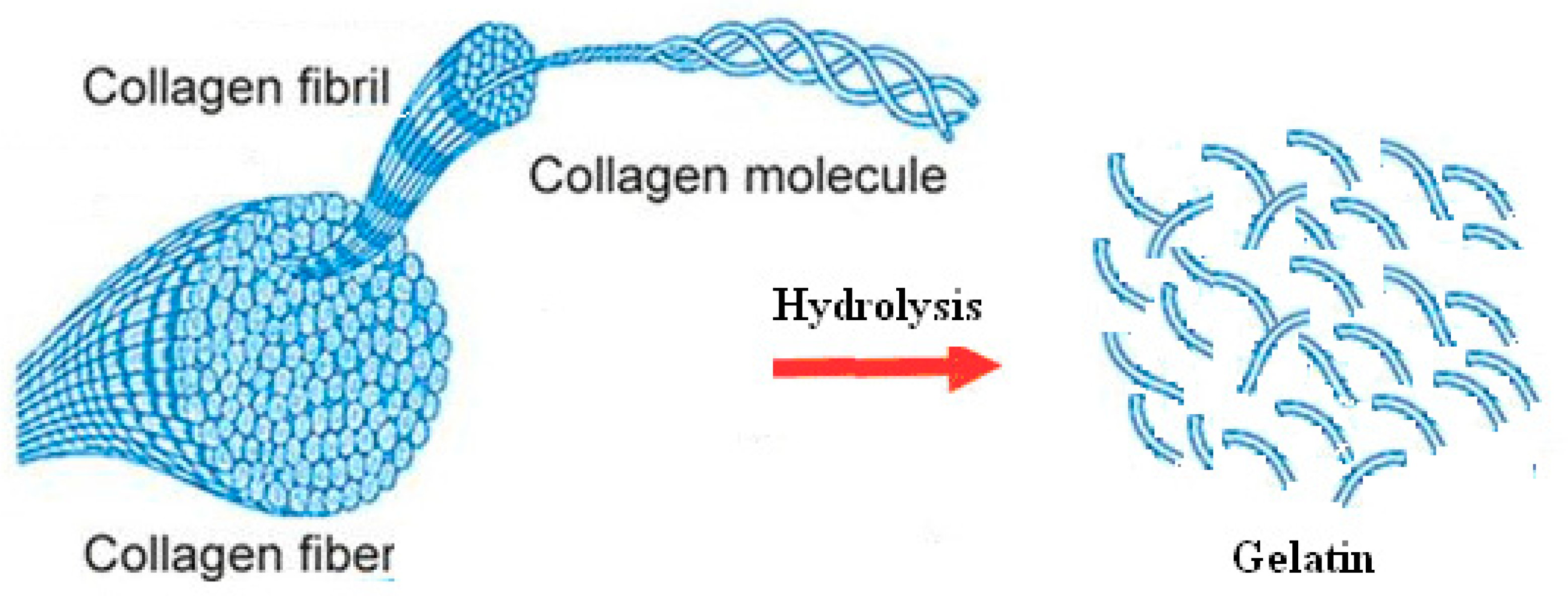 Coatings 12 00999 g014