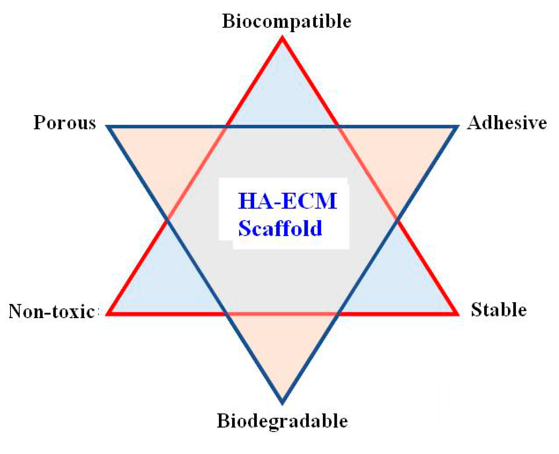 Coatings 12 00999 g015