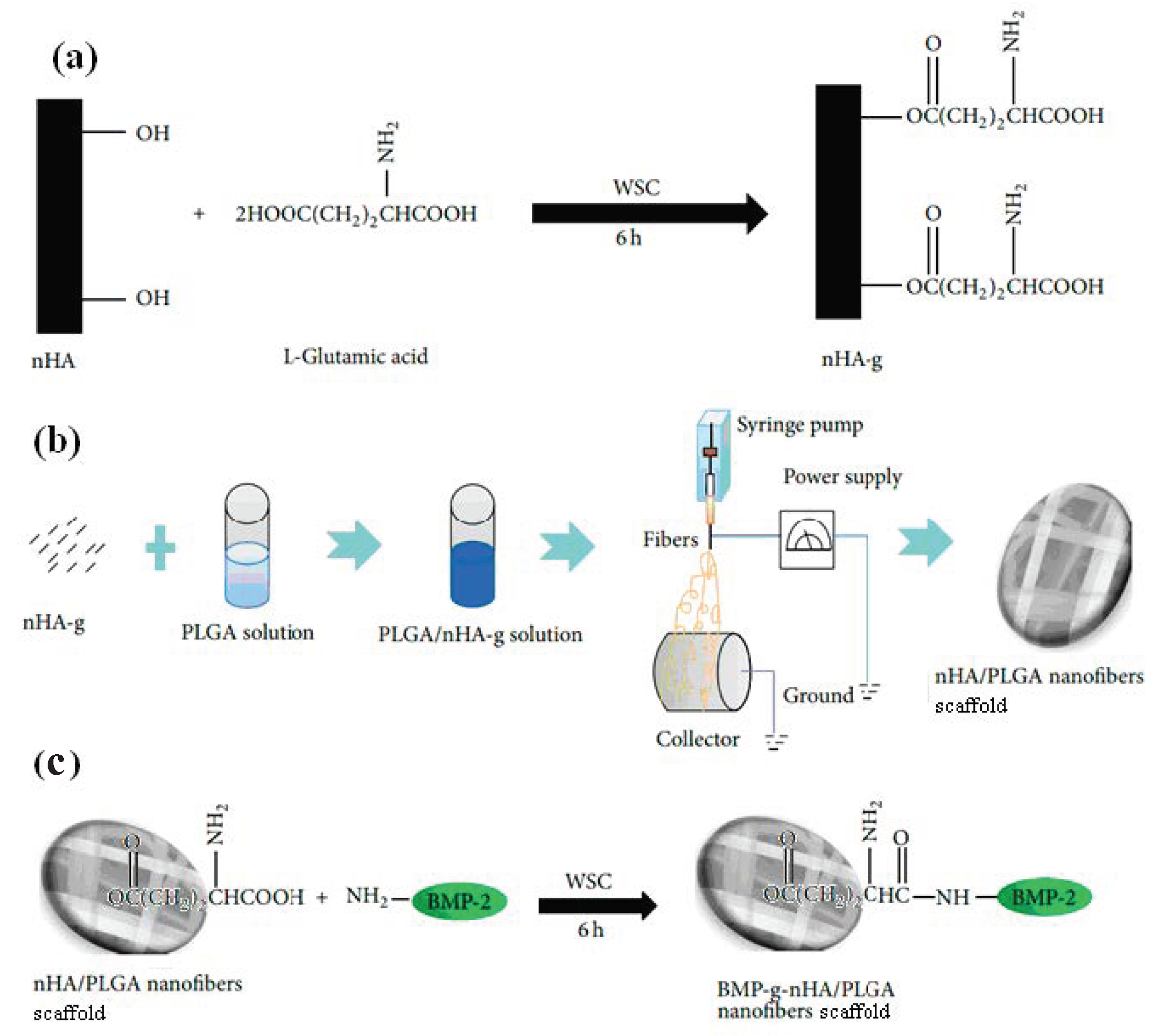 Coatings 12 00999 g020