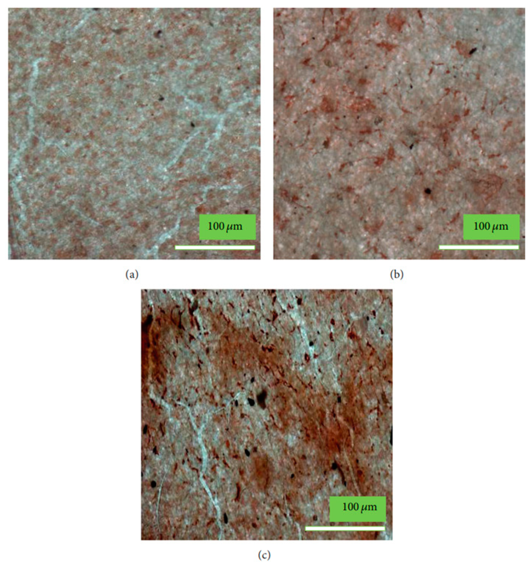 Coatings 12 00999 g024