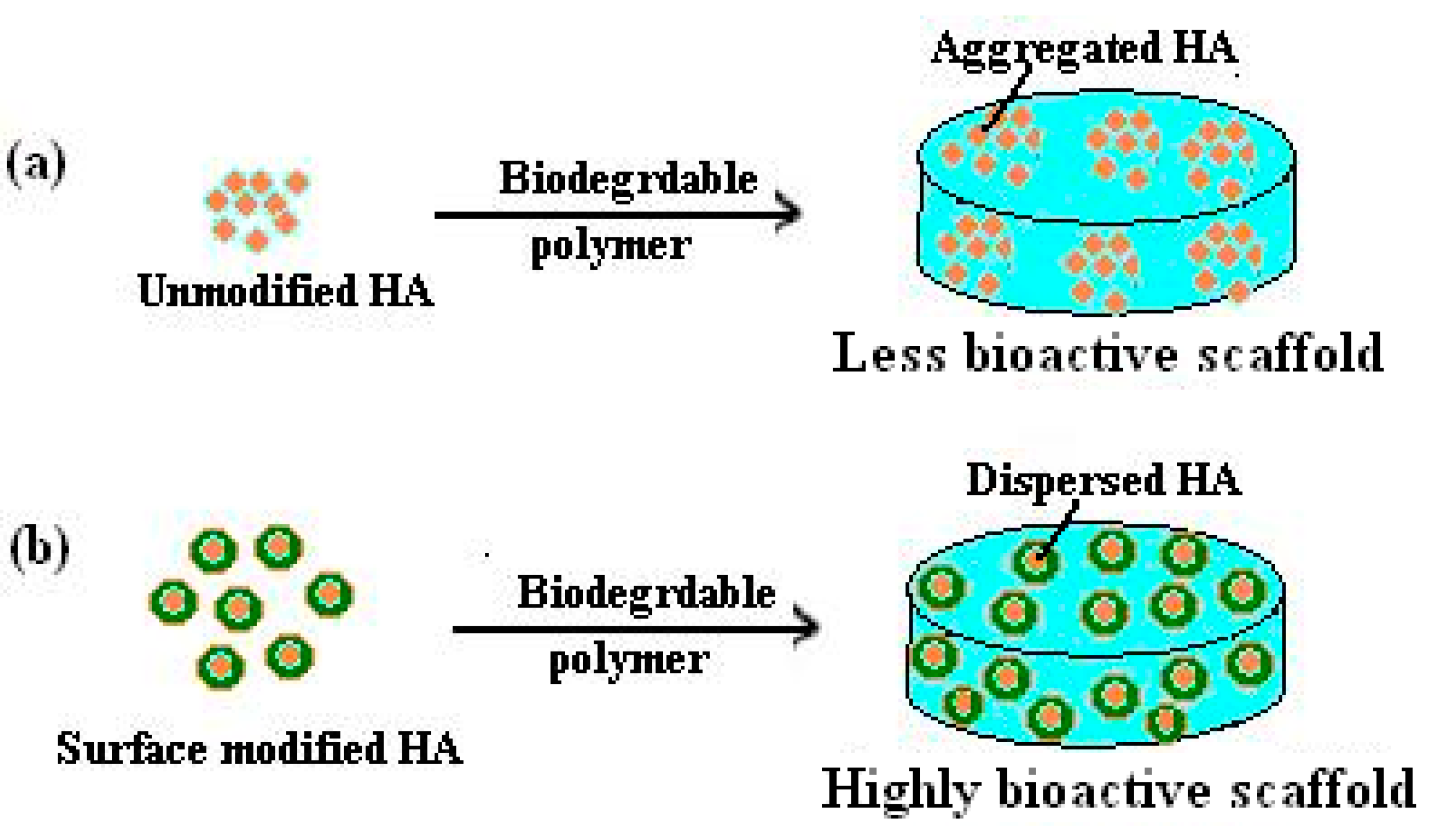 Coatings 12 00999 g025